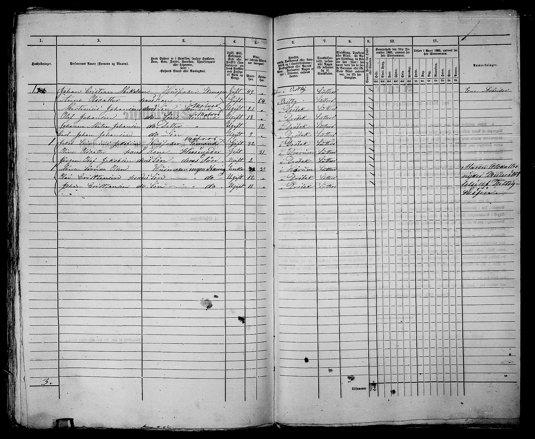 RA, 1865 census for Drøbak/Drøbak, 1865, p. 452