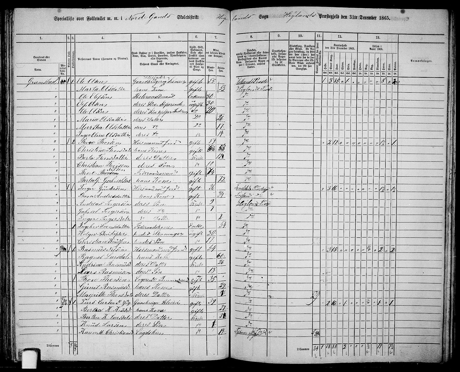 RA, 1865 census for Høyland, 1865, p. 95