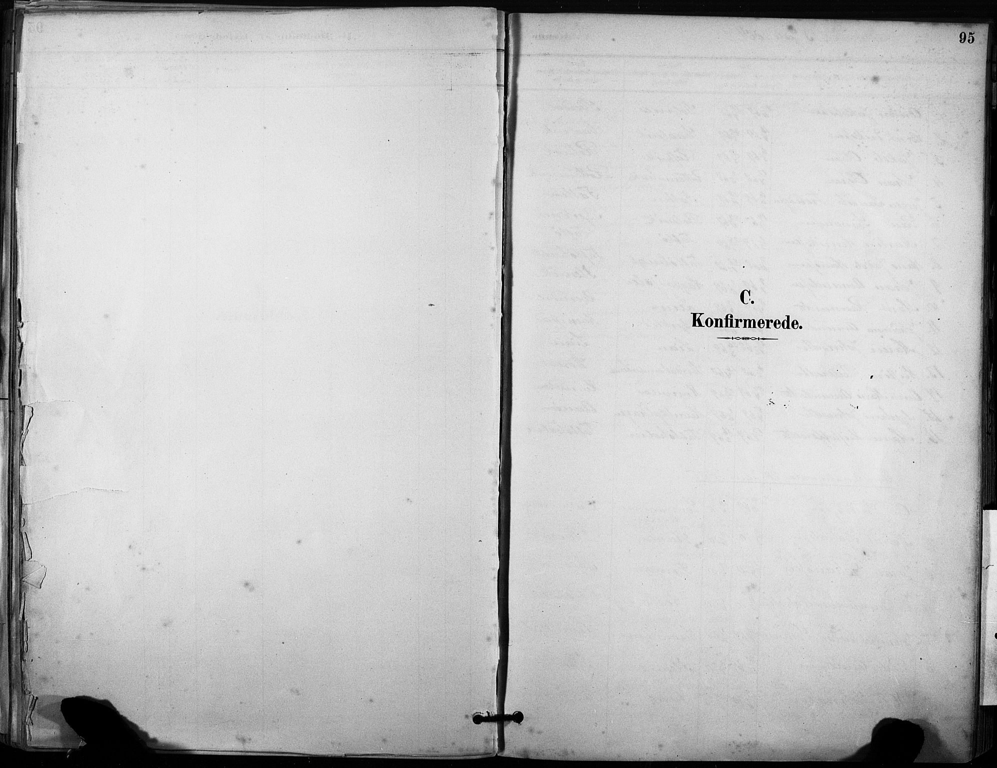 Ministerialprotokoller, klokkerbøker og fødselsregistre - Sør-Trøndelag, SAT/A-1456/633/L0518: Parish register (official) no. 633A01, 1884-1906, p. 95