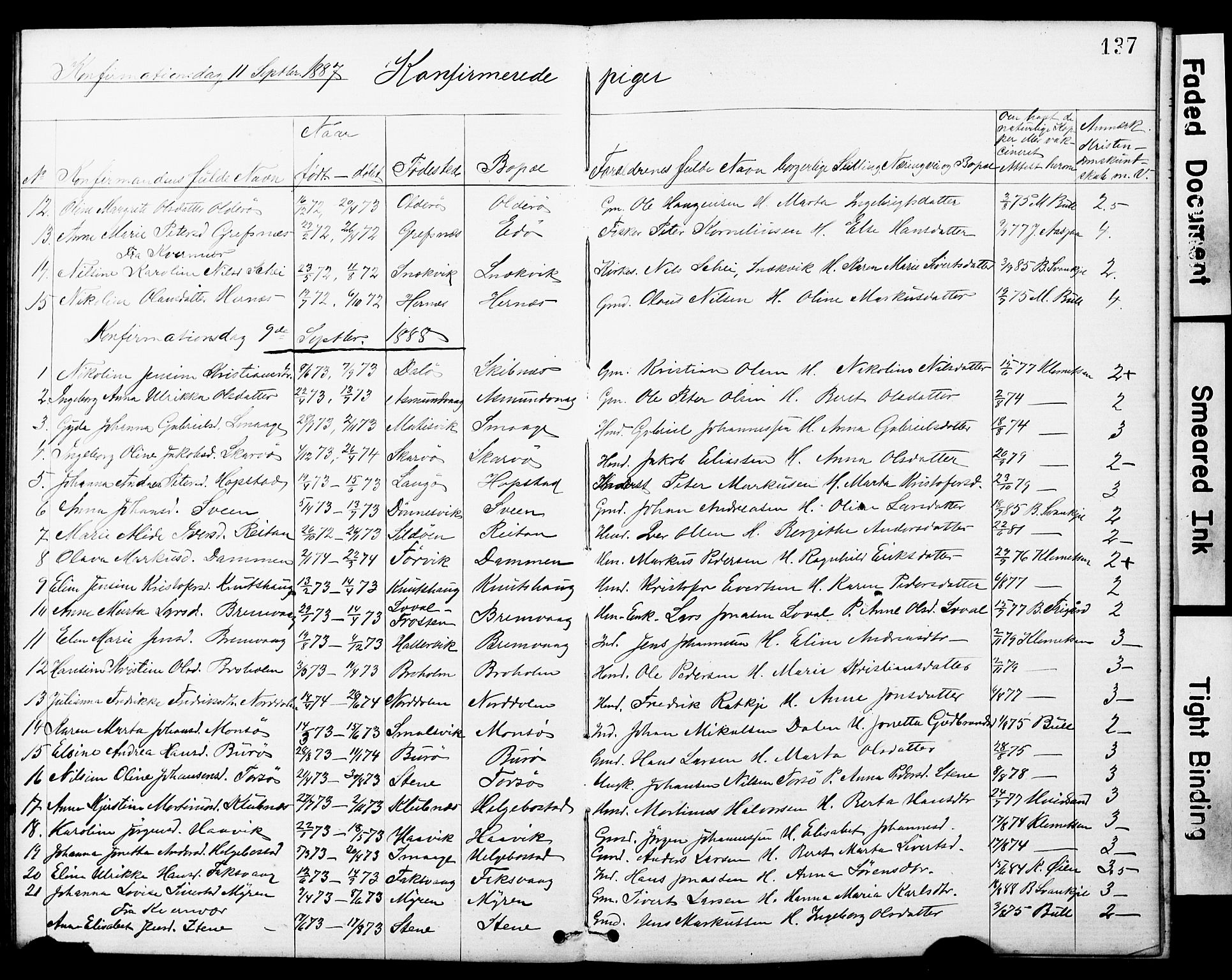 Ministerialprotokoller, klokkerbøker og fødselsregistre - Sør-Trøndelag, SAT/A-1456/634/L0541: Parish register (copy) no. 634C03, 1874-1891, p. 137