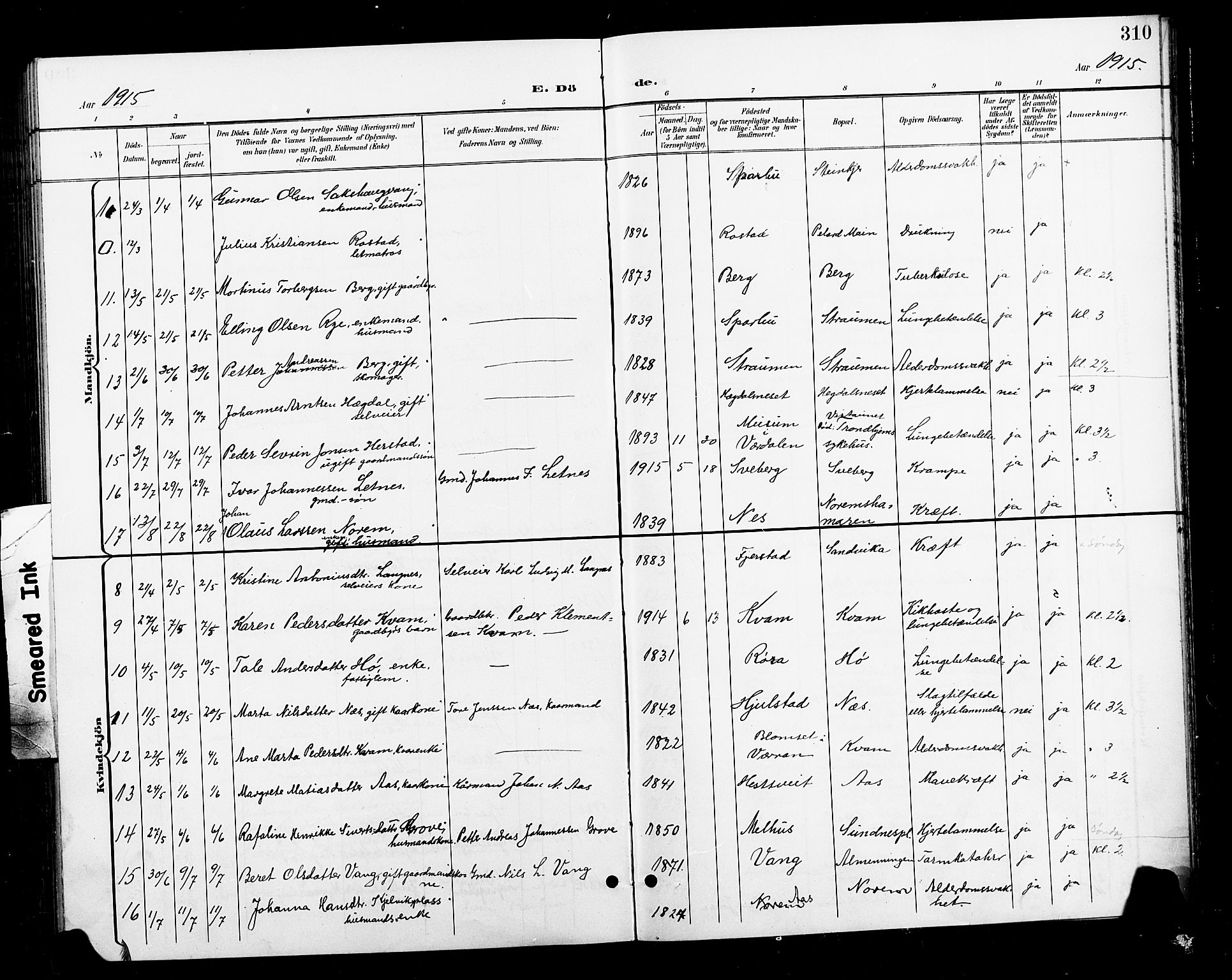 Ministerialprotokoller, klokkerbøker og fødselsregistre - Nord-Trøndelag, AV/SAT-A-1458/730/L0302: Parish register (copy) no. 730C05, 1898-1924, p. 310