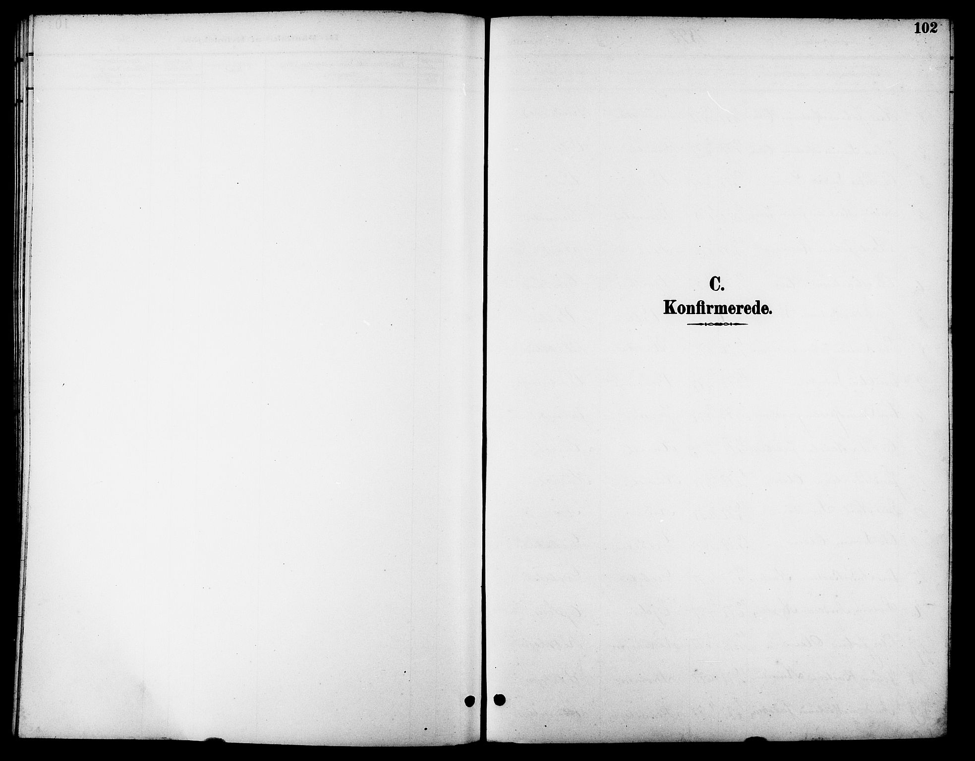 Ministerialprotokoller, klokkerbøker og fødselsregistre - Møre og Romsdal, SAT/A-1454/523/L0340: Parish register (copy) no. 523C03, 1892-1902, p. 102