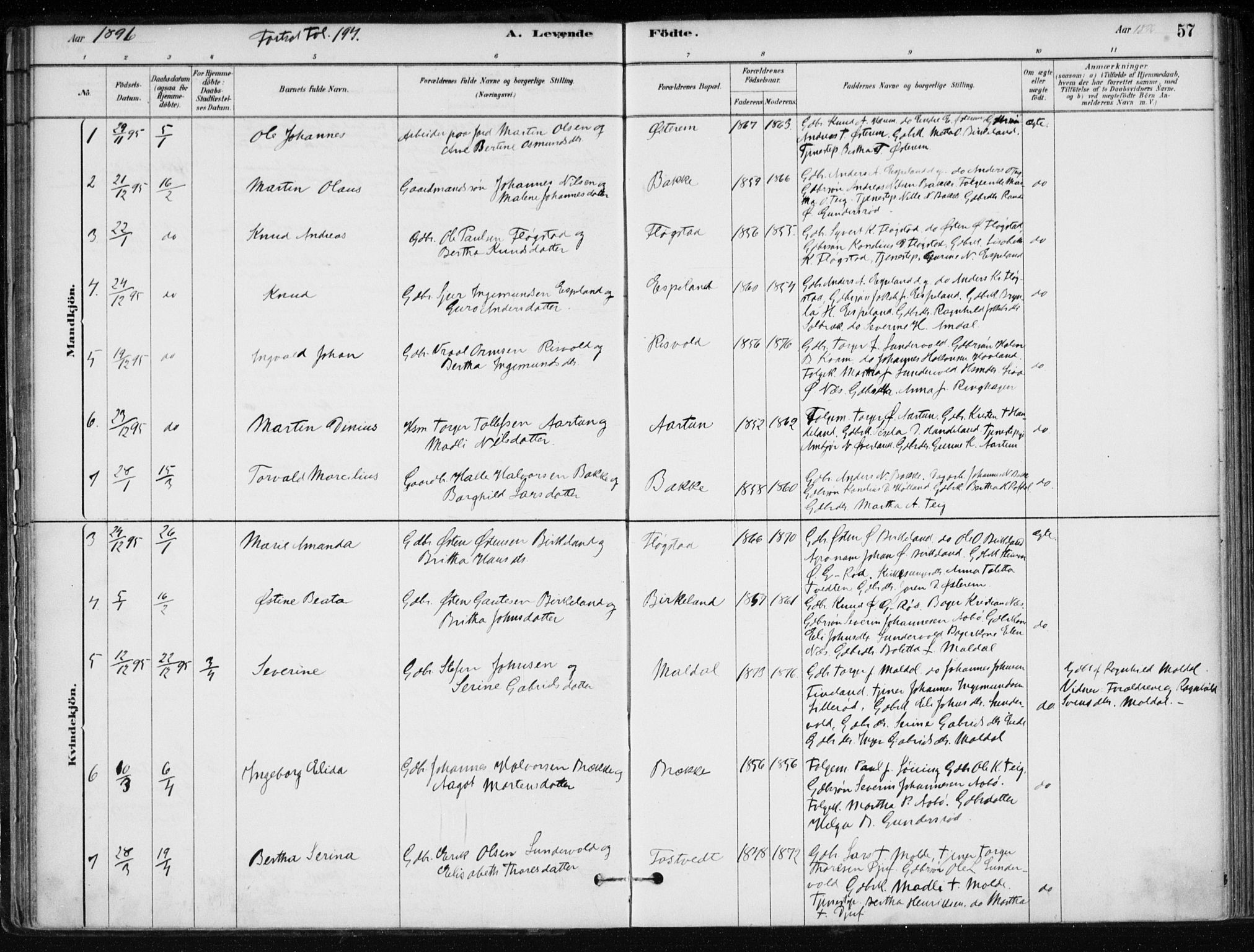 Sand sokneprestkontor, AV/SAST-A-101848/01/III/L0006: Parish register (official) no. A 6, 1880-1898, p. 57