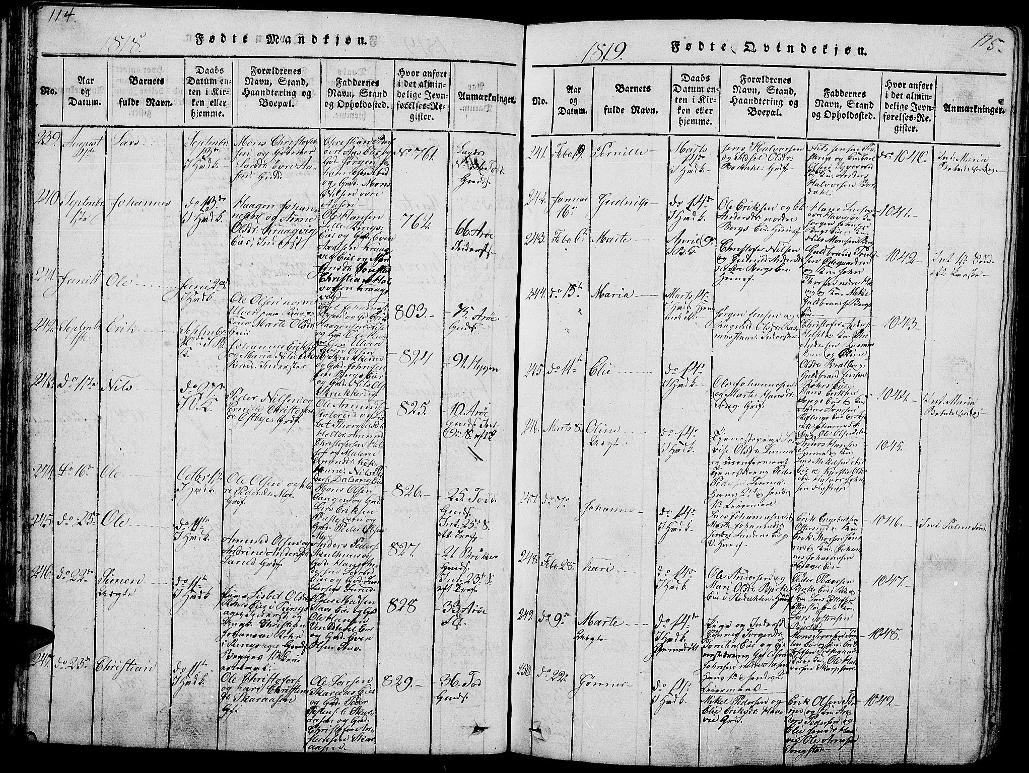 Ringsaker prestekontor, SAH/PREST-014/L/La/L0001: Parish register (copy) no. 1, 1814-1826, p. 114-115