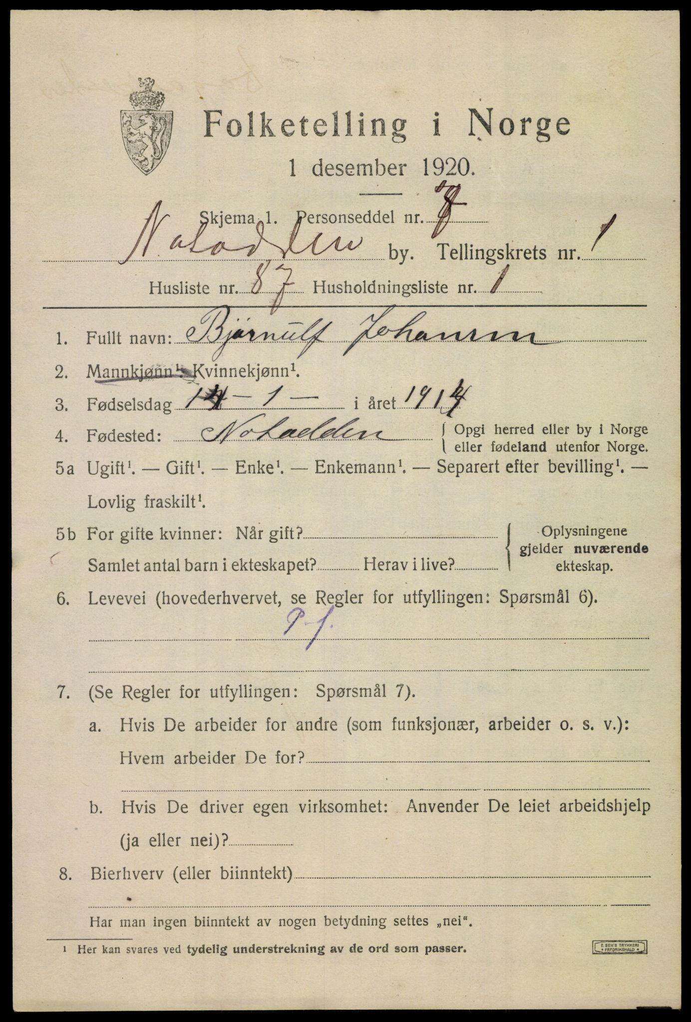 SAKO, 1920 census for Notodden, 1920, p. 6560