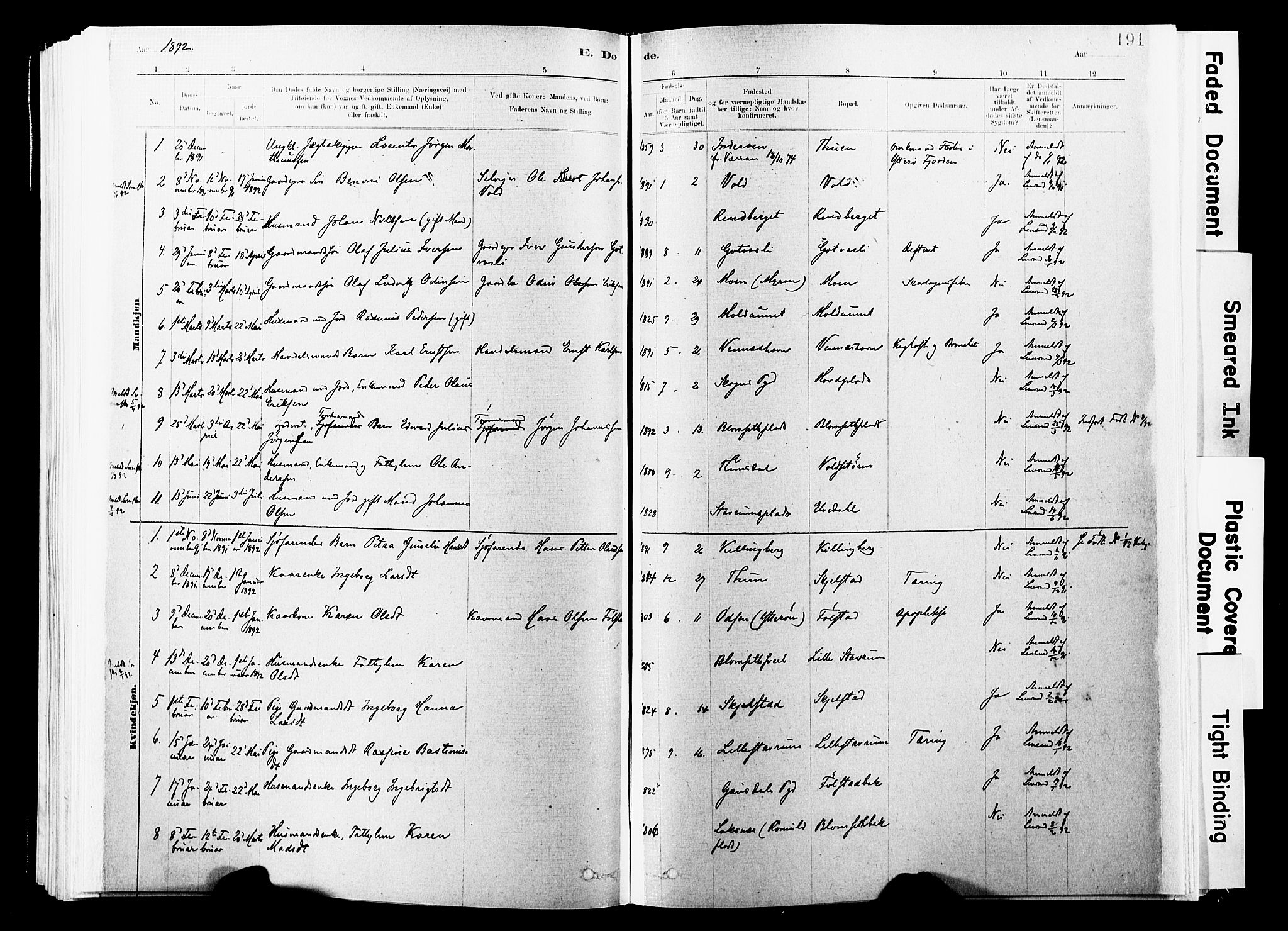 Ministerialprotokoller, klokkerbøker og fødselsregistre - Nord-Trøndelag, SAT/A-1458/744/L0420: Parish register (official) no. 744A04, 1882-1904, p. 191