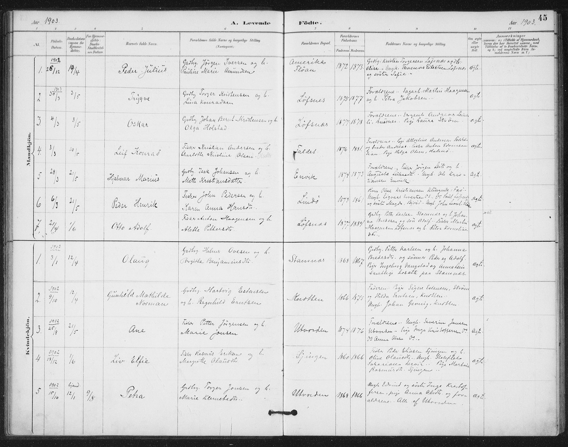 Ministerialprotokoller, klokkerbøker og fødselsregistre - Nord-Trøndelag, SAT/A-1458/772/L0603: Parish register (official) no. 772A01, 1885-1912, p. 45