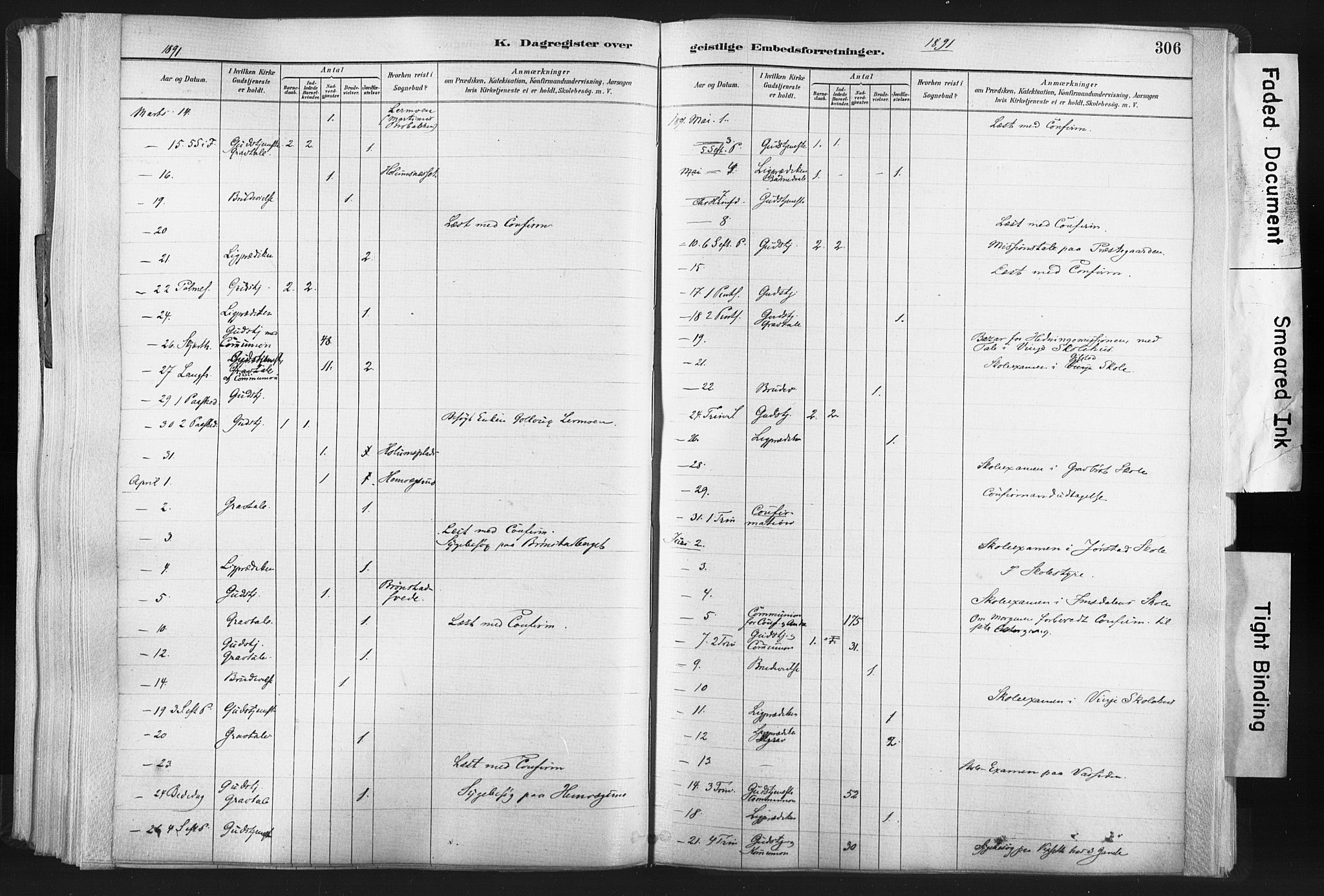 Ministerialprotokoller, klokkerbøker og fødselsregistre - Nord-Trøndelag, SAT/A-1458/749/L0474: Parish register (official) no. 749A08, 1887-1903, p. 306