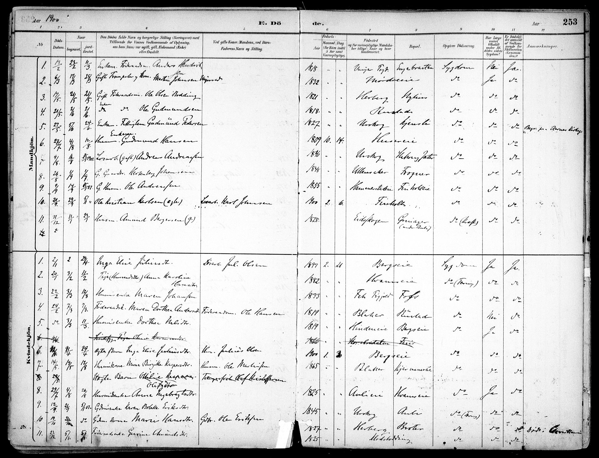 Nes prestekontor Kirkebøker, SAO/A-10410/F/Fc/L0002: Parish register (official) no. IIi 2, 1882-1916, p. 253