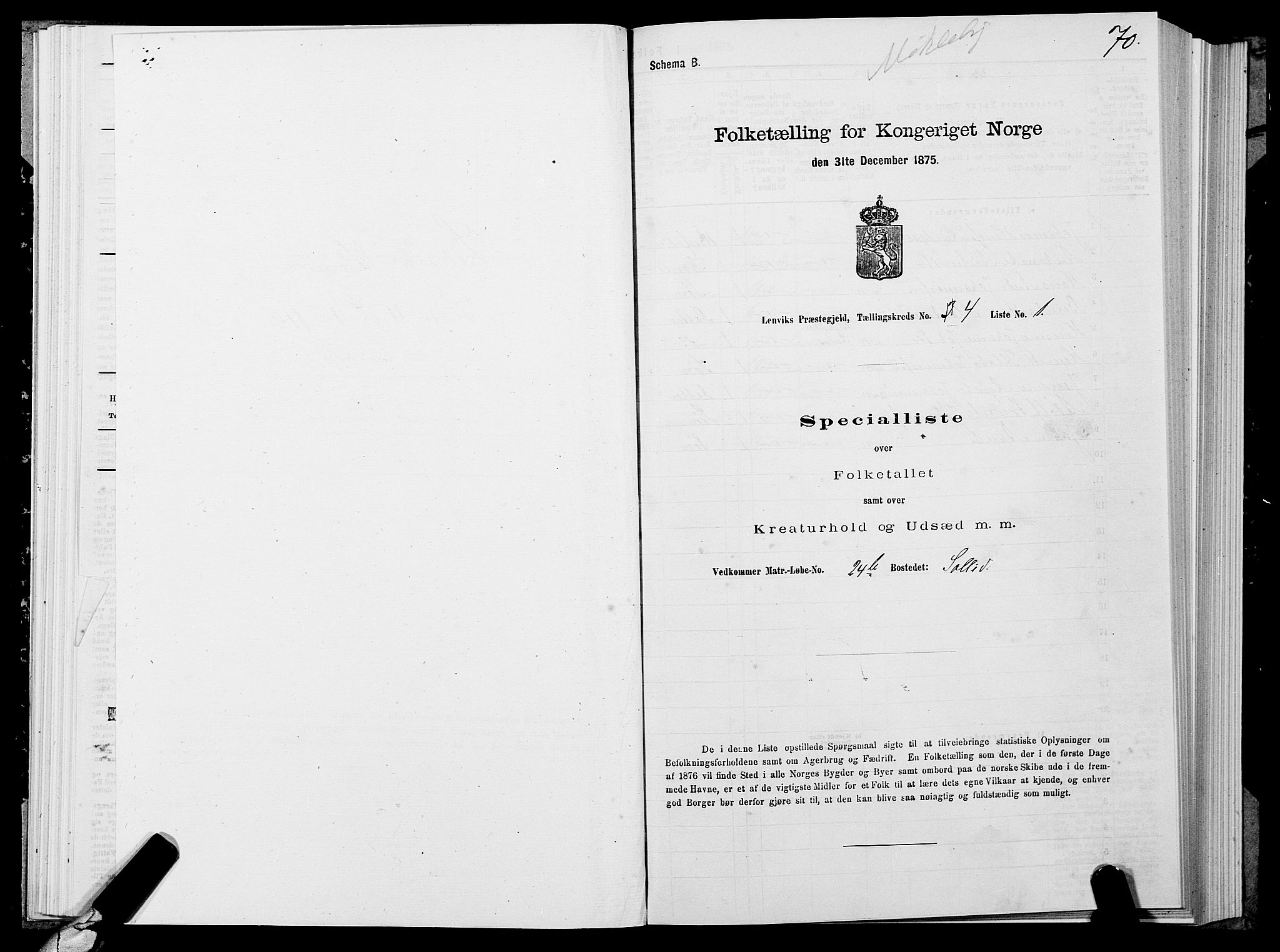 SATØ, 1875 census for 1931P Lenvik, 1875, p. 2070