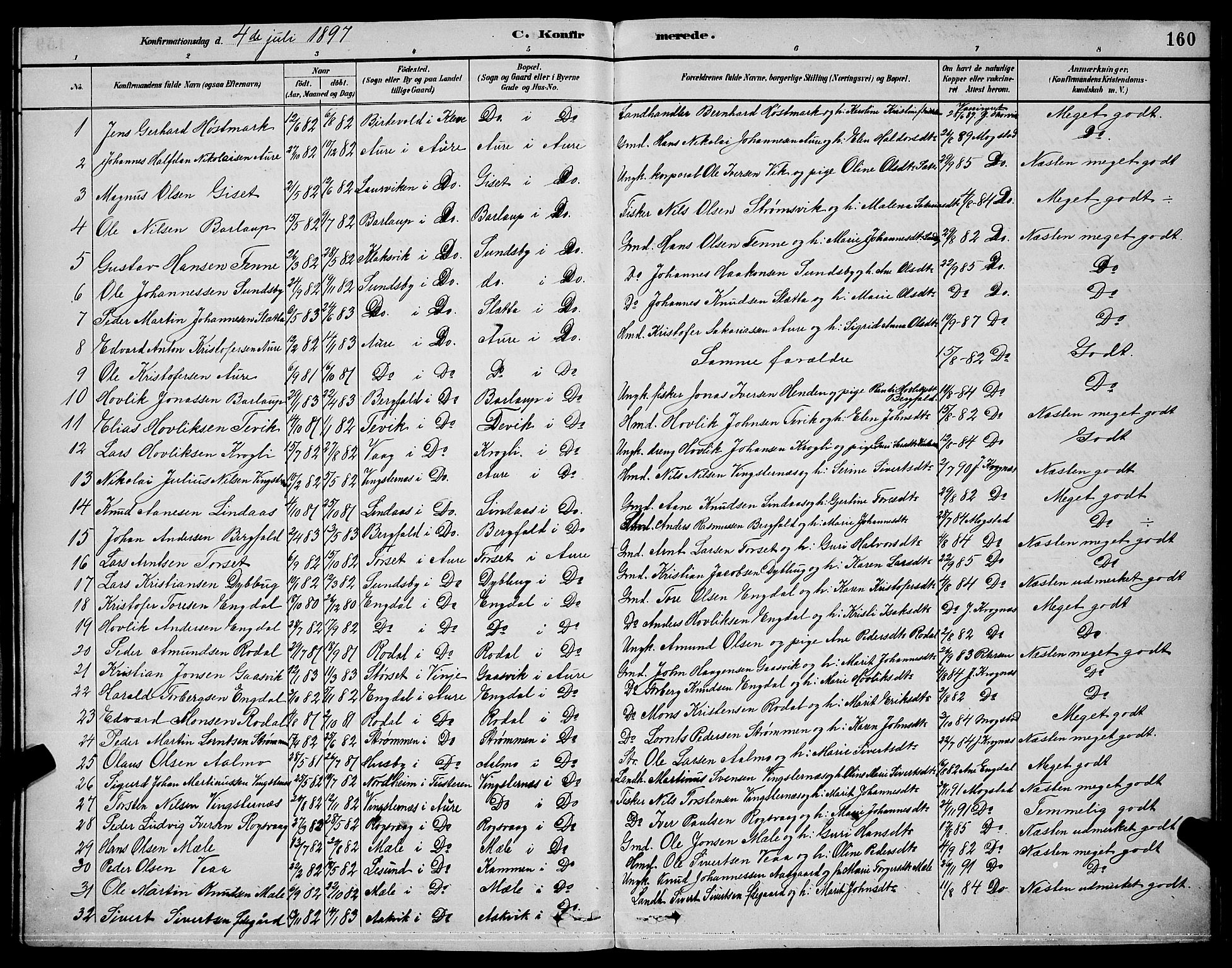 Ministerialprotokoller, klokkerbøker og fødselsregistre - Møre og Romsdal, AV/SAT-A-1454/578/L0909: Parish register (copy) no. 578C02, 1882-1900, p. 160