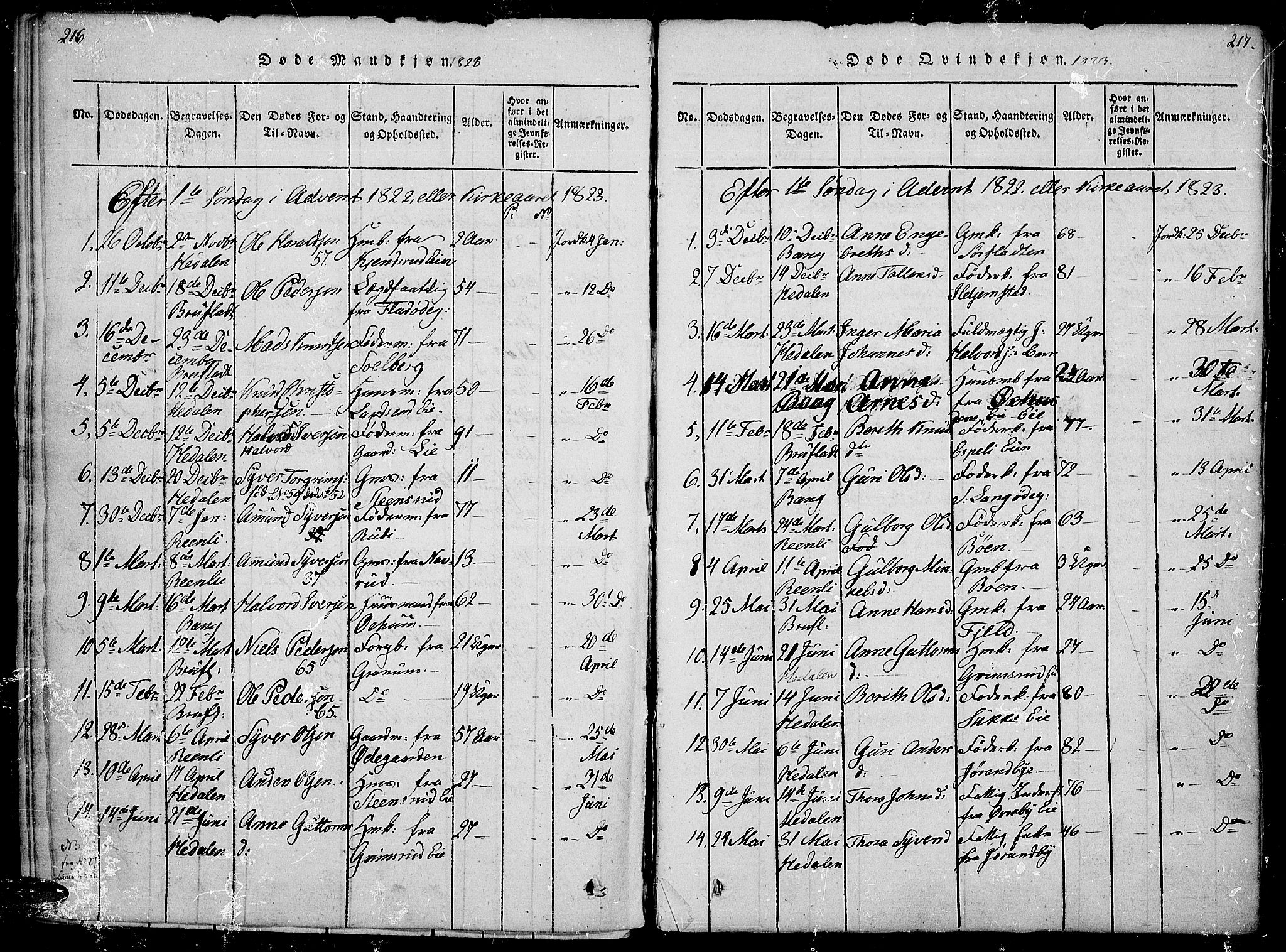 Sør-Aurdal prestekontor, SAH/PREST-128/H/Ha/Haa/L0002: Parish register (official) no. 2, 1815-1840, p. 216-217