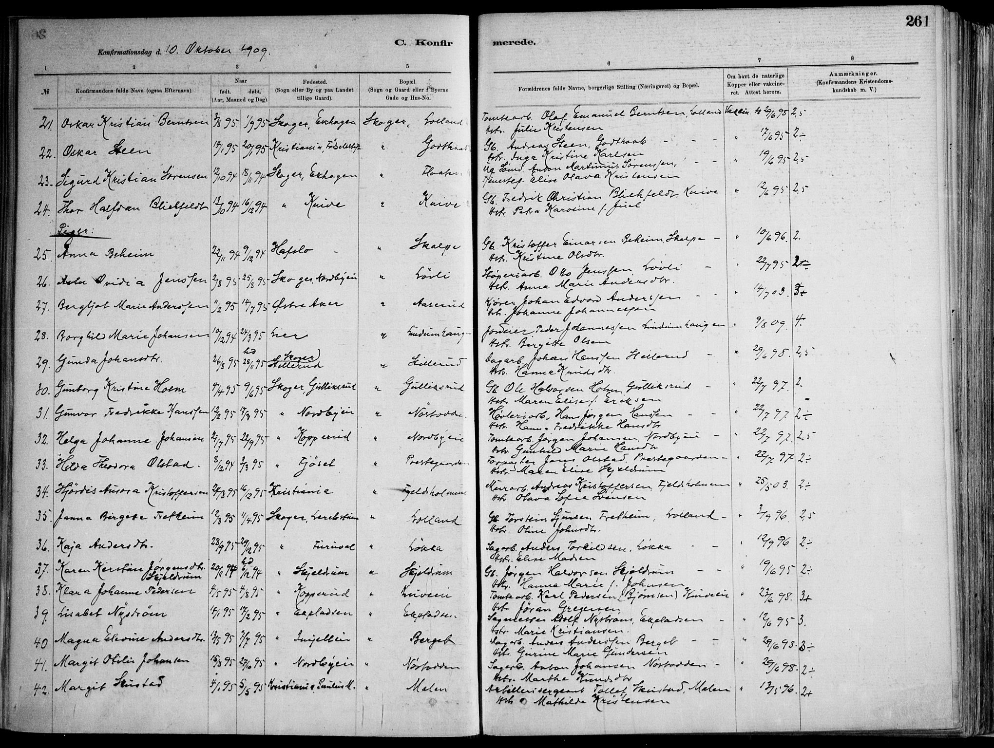 Skoger kirkebøker, AV/SAKO-A-59/F/Fa/L0006: Parish register (official) no. I 6, 1885-1910, p. 261