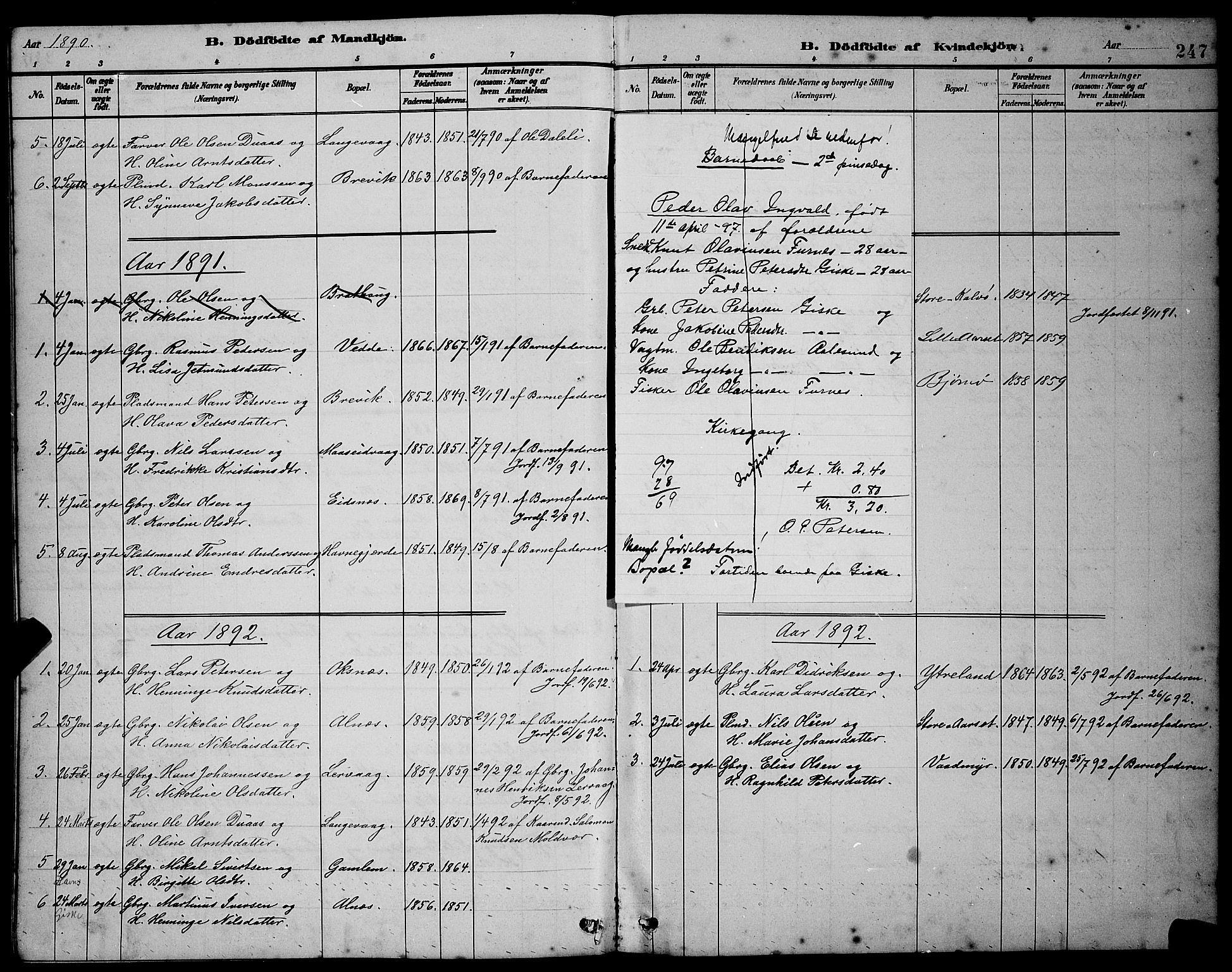 Ministerialprotokoller, klokkerbøker og fødselsregistre - Møre og Romsdal, AV/SAT-A-1454/528/L0431: Parish register (copy) no. 528C12, 1885-1898, p. 247