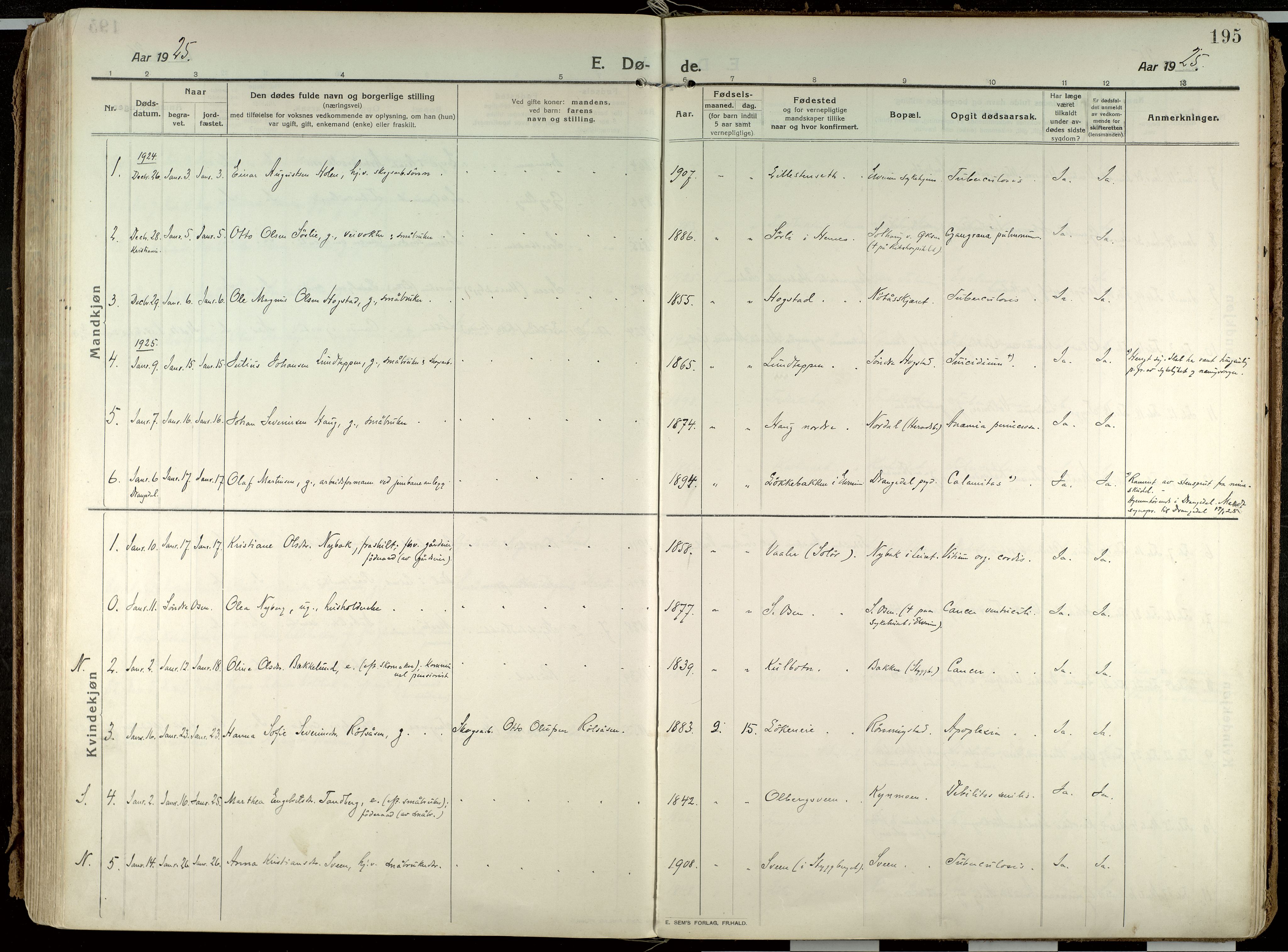 Elverum prestekontor, AV/SAH-PREST-044/H/Ha/Haa/L0021: Parish register (official) no. 21, 1913-1928, p. 195