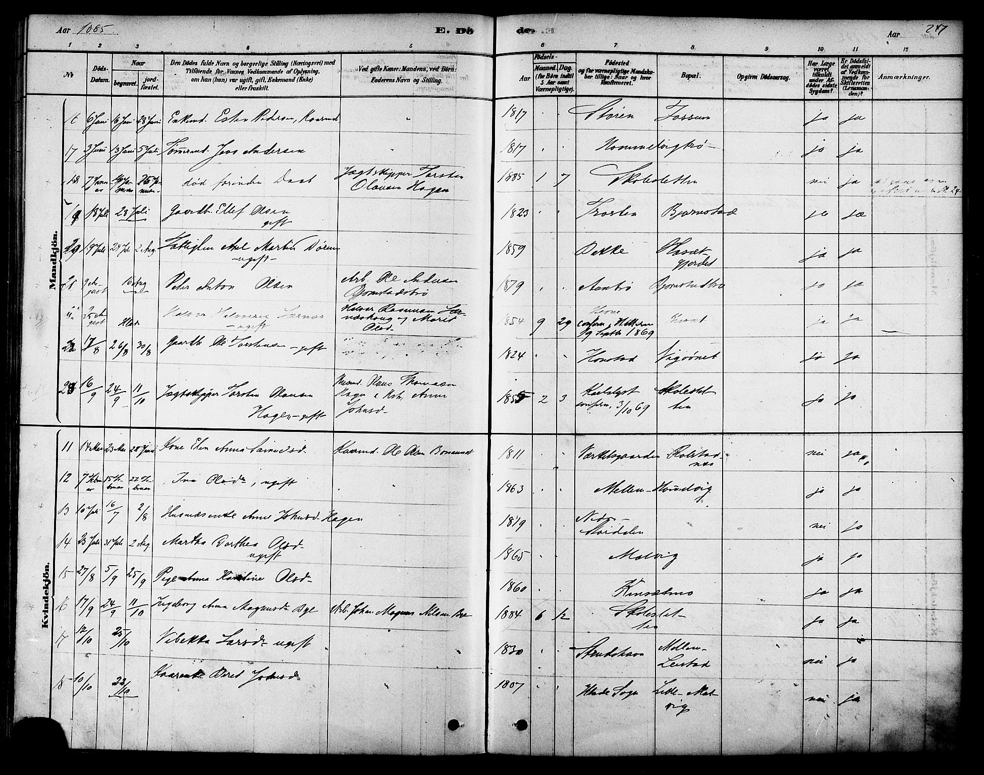 Ministerialprotokoller, klokkerbøker og fødselsregistre - Sør-Trøndelag, AV/SAT-A-1456/616/L0410: Parish register (official) no. 616A07, 1878-1893, p. 247