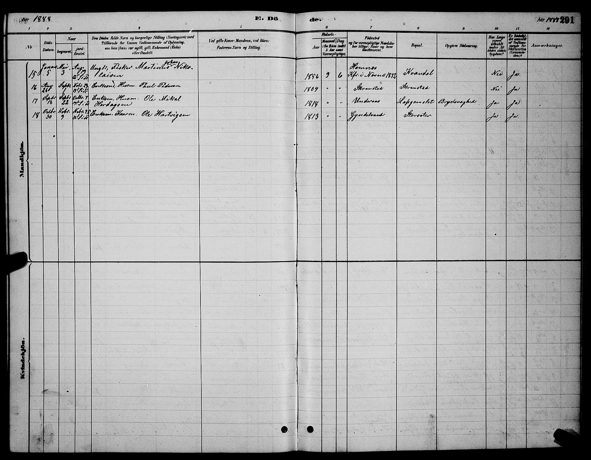 Ministerialprotokoller, klokkerbøker og fødselsregistre - Nordland, SAT/A-1459/855/L0816: Parish register (copy) no. 855C05, 1879-1894, p. 291