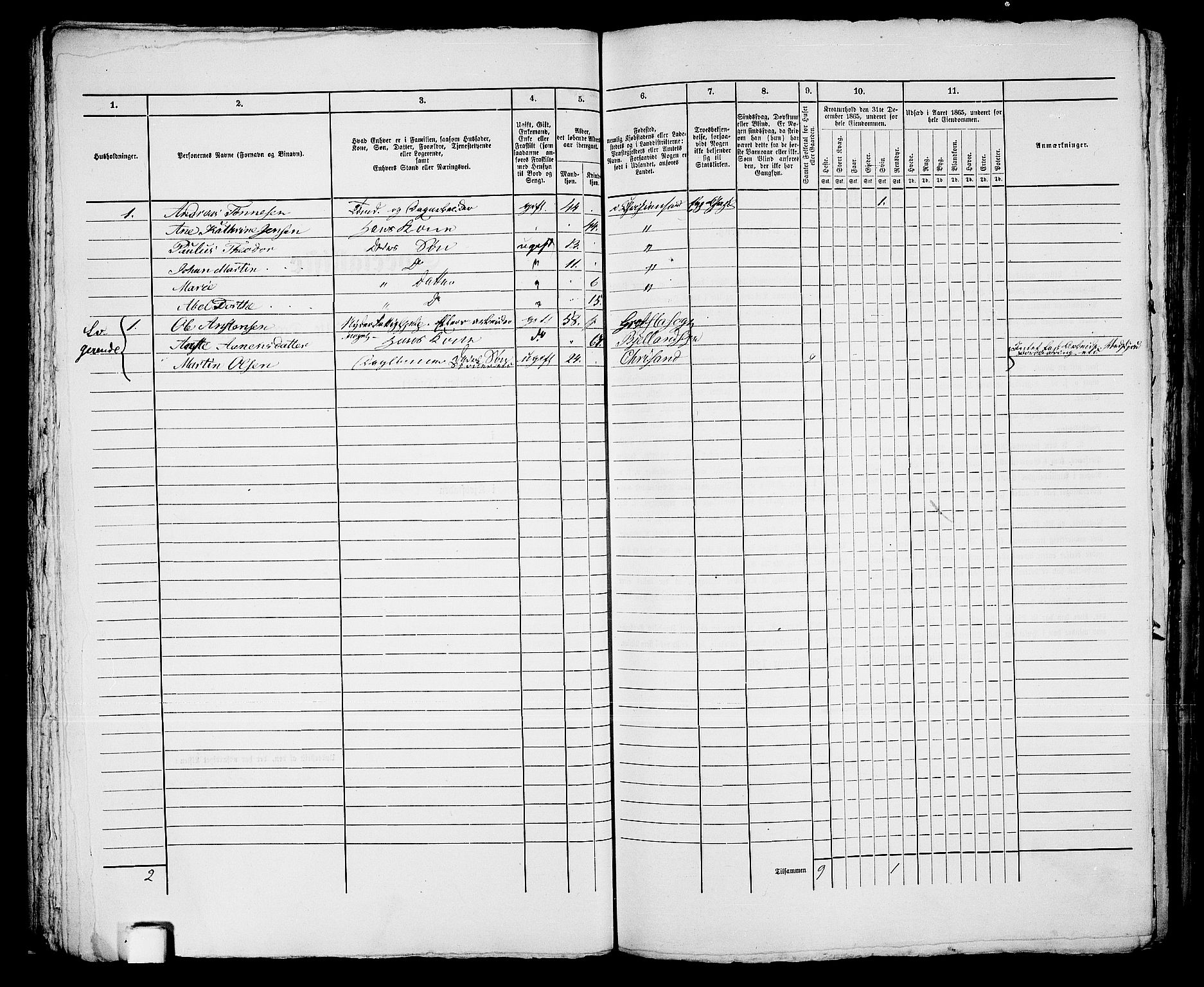 RA, 1865 census for Kristiansand, 1865, p. 1070