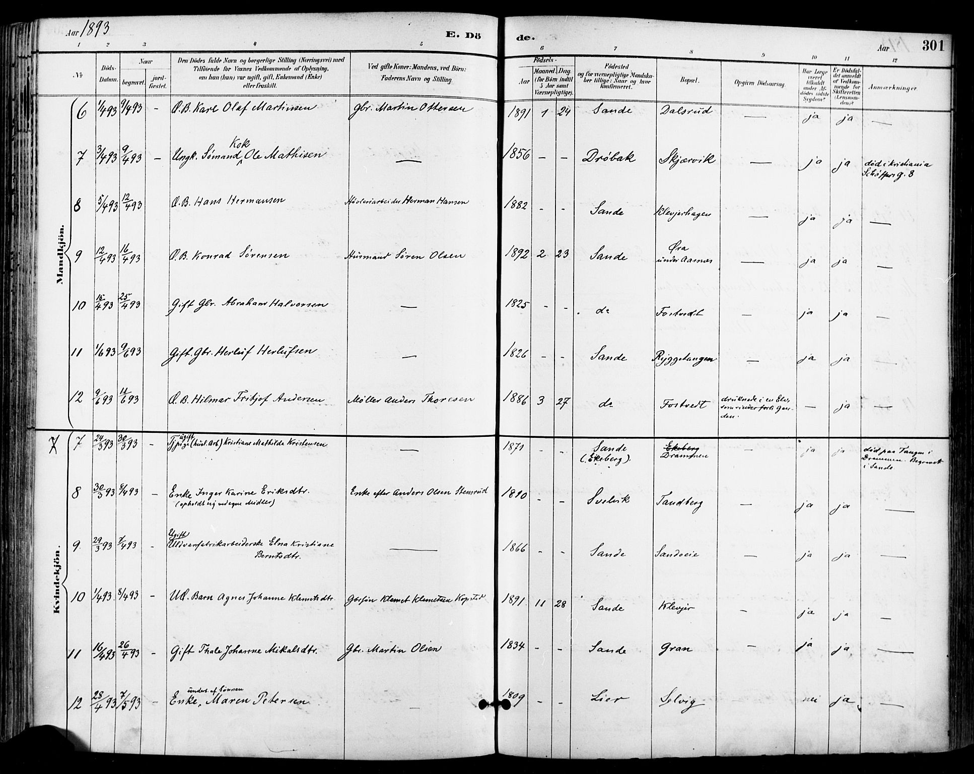 Sande Kirkebøker, AV/SAKO-A-53/F/Fa/L0007: Parish register (official) no. 7, 1888-1903, p. 301