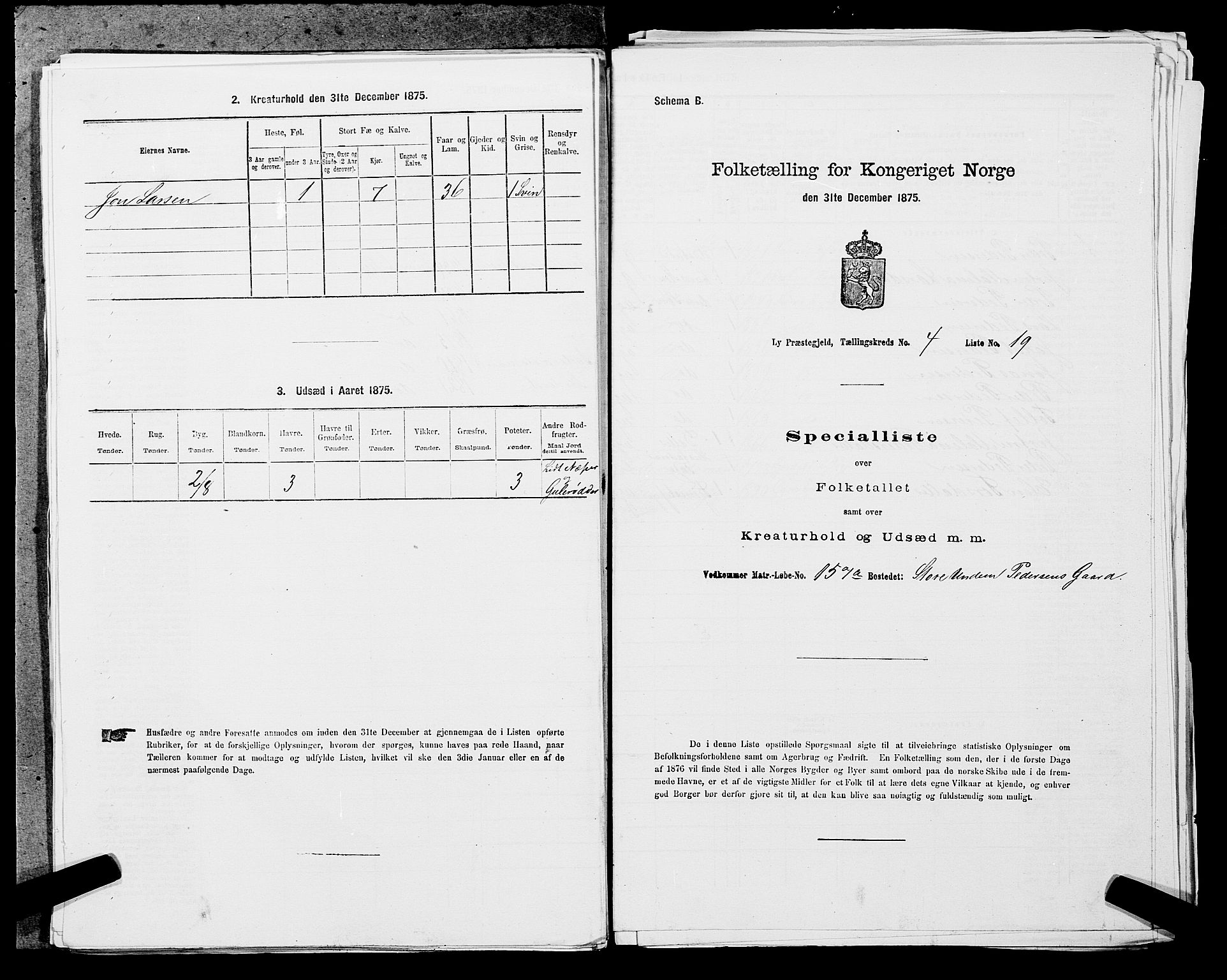 SAST, 1875 census for 1121P Lye, 1875, p. 509