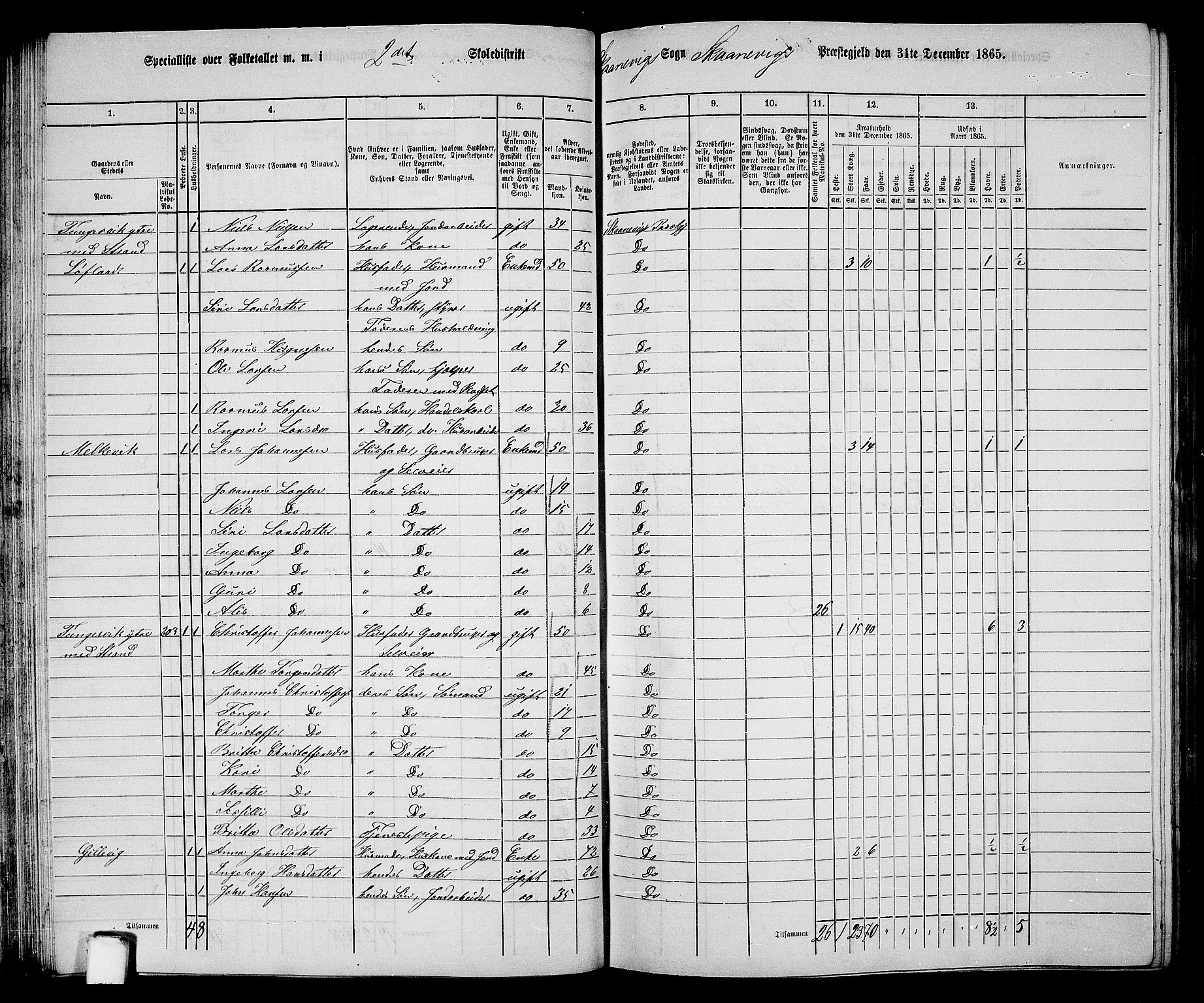 RA, 1865 census for Skånevik, 1865, p. 49