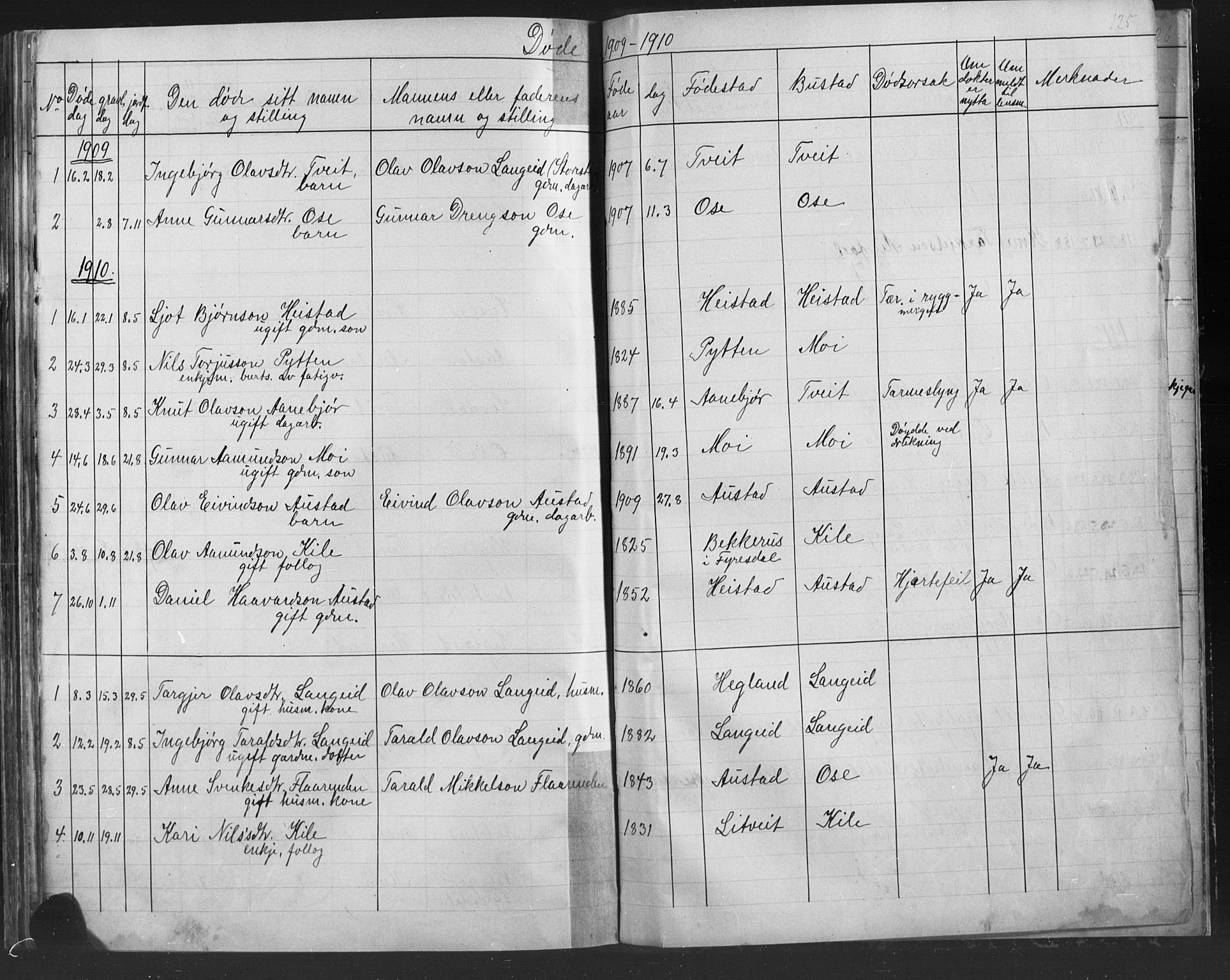 Bygland sokneprestkontor, AV/SAK-1111-0006/F/Fb/Fba/L0002: Parish register (copy) no. B 2, 1886-1919, p. 125