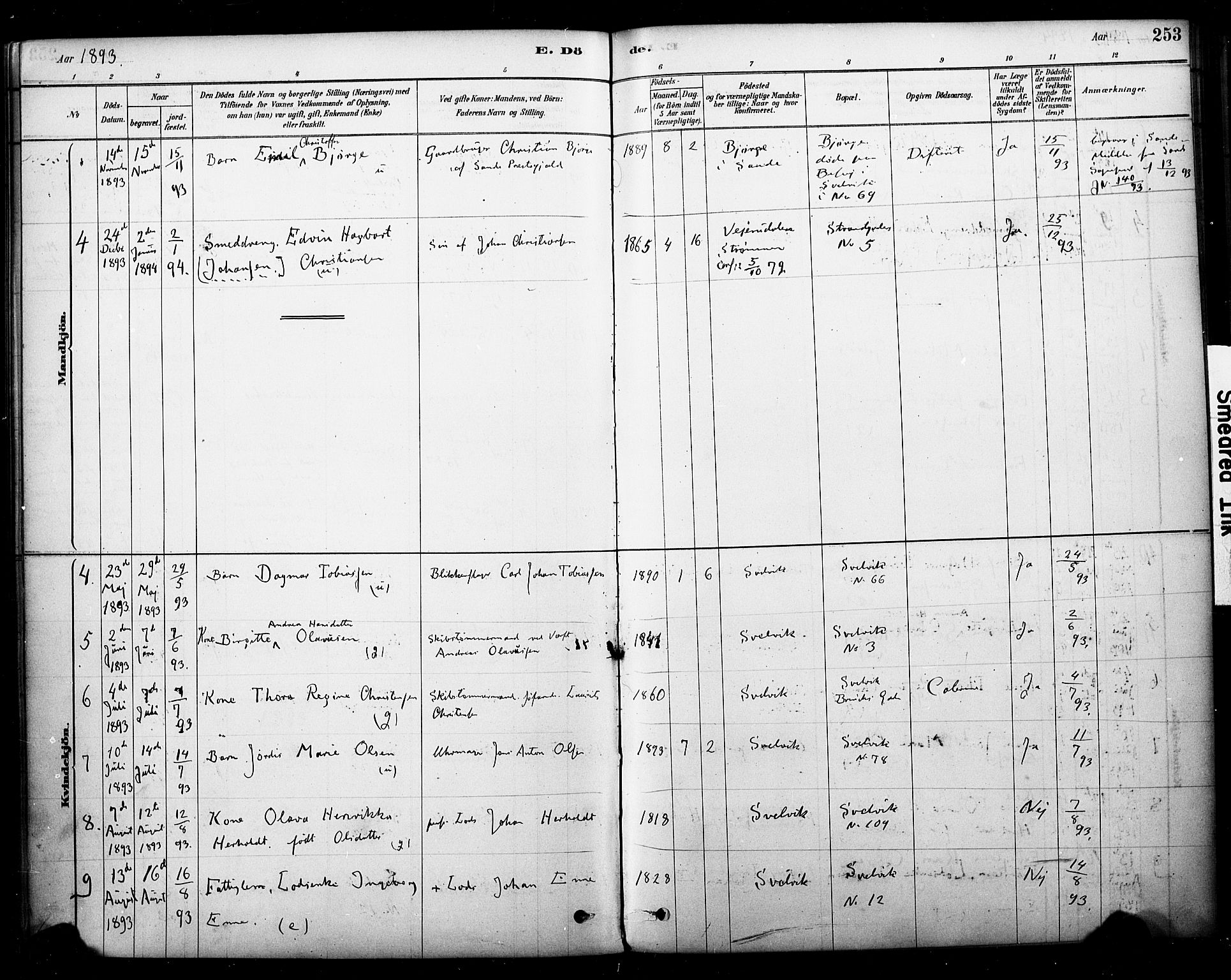 Strømm kirkebøker, AV/SAKO-A-322/F/Fb/L0001: Parish register (official) no. II 1, 1878-1899, p. 253