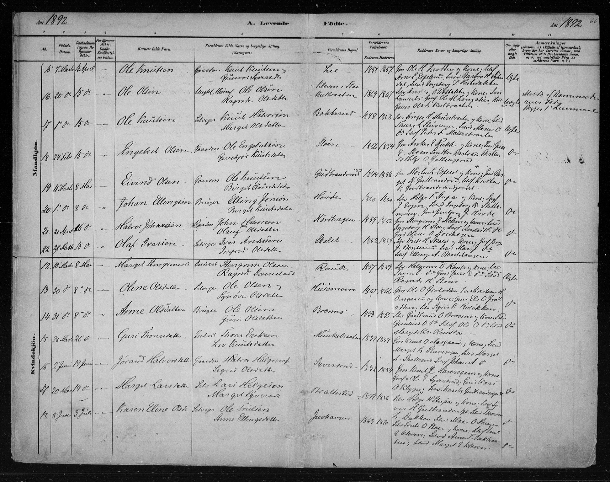 Nes kirkebøker, AV/SAKO-A-236/F/Fa/L0011: Parish register (official) no. 11, 1881-1912, p. 66