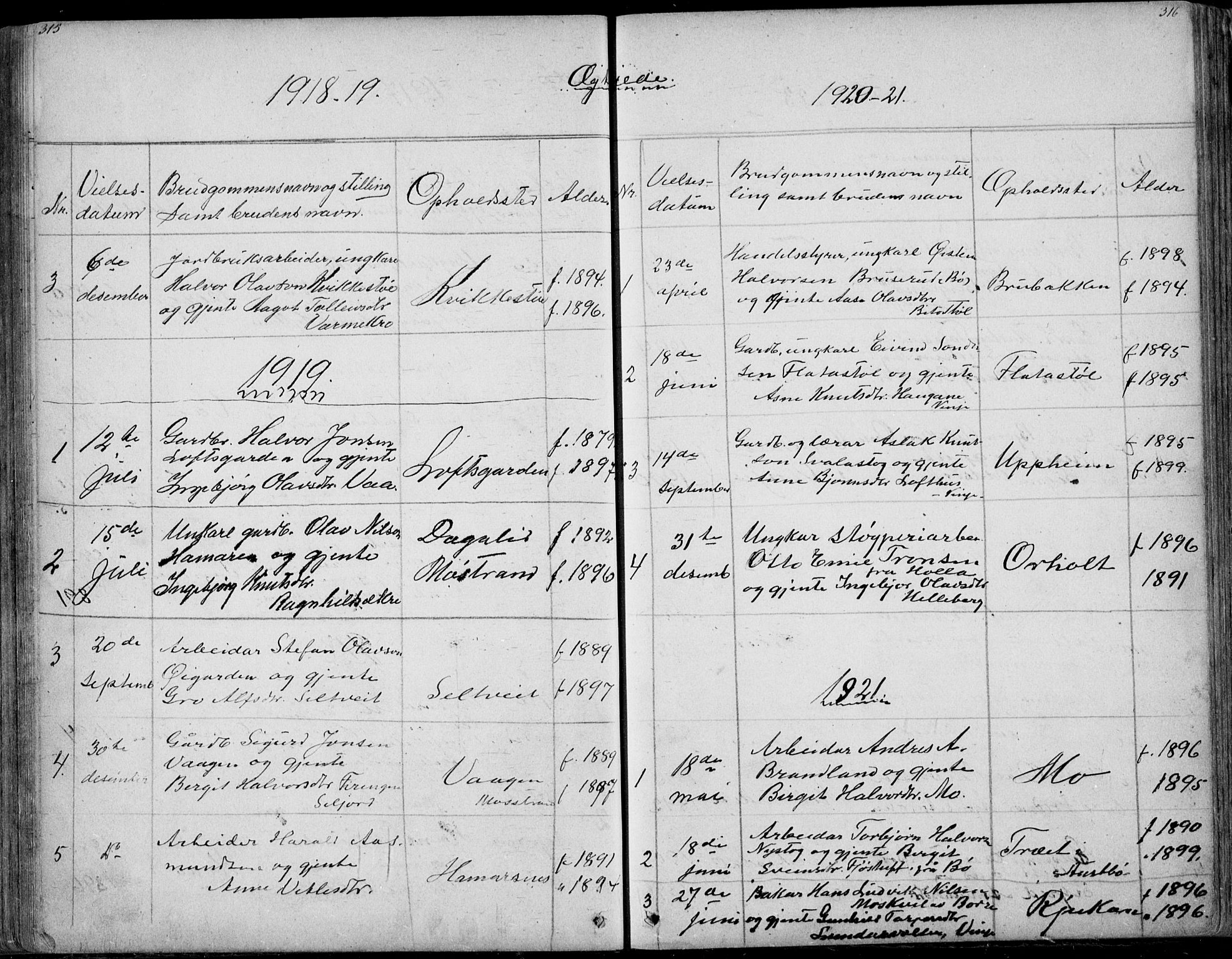 Rauland kirkebøker, SAKO/A-292/G/Ga/L0002: Parish register (copy) no. I 2, 1849-1935, p. 315-316