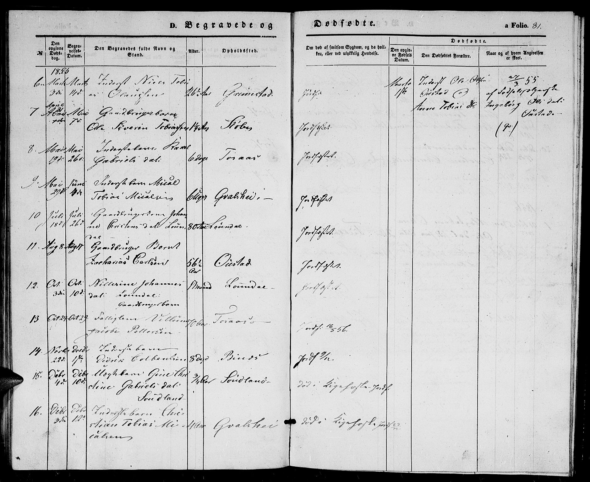 Herad sokneprestkontor, AV/SAK-1111-0018/F/Fb/Fba/L0002: Parish register (copy) no. B 2, 1852-1862, p. 81