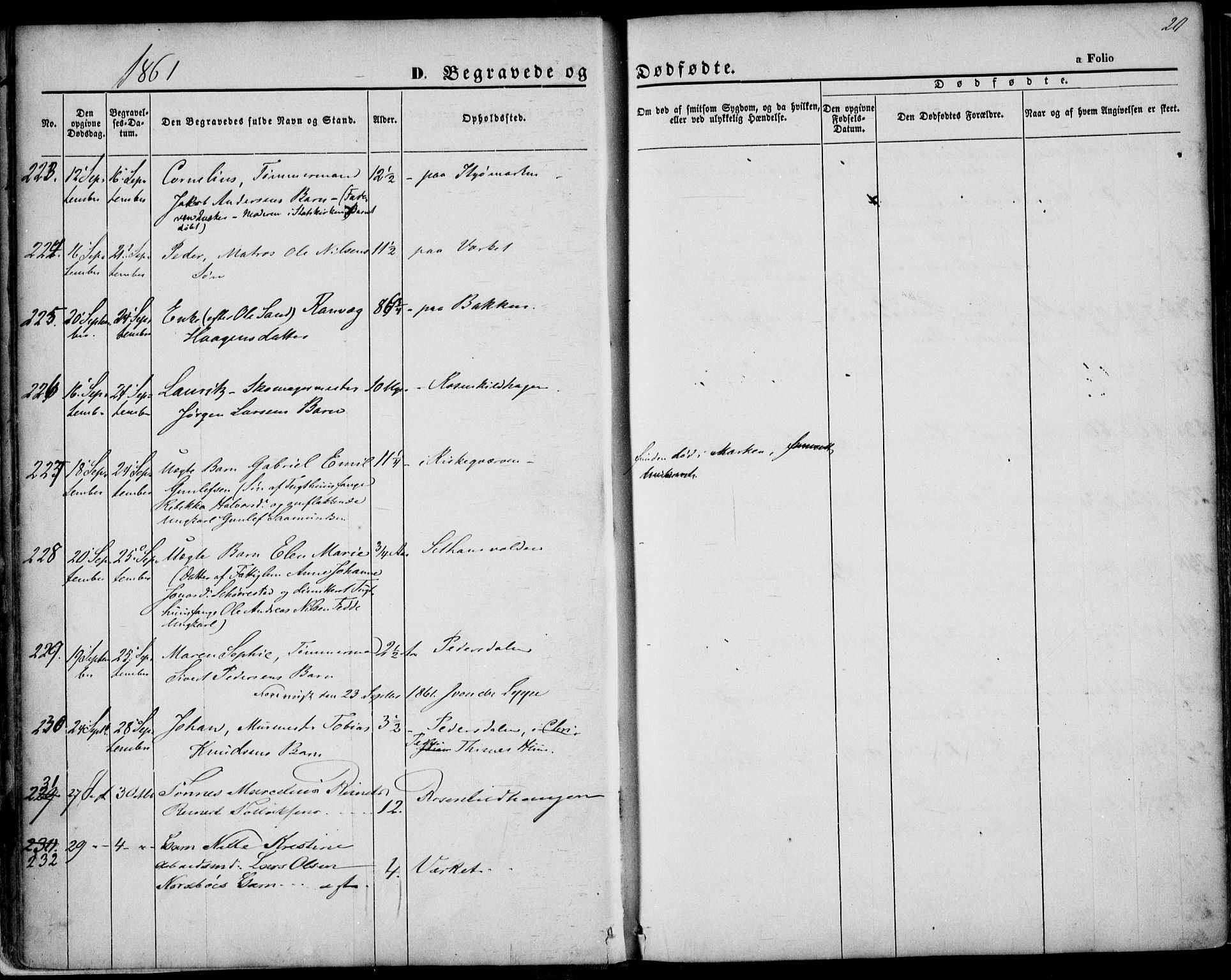 St. Petri sokneprestkontor, AV/SAST-A-101813/001/30/30BA/L0003: Parish register (official) no. A 3, 1861-1872, p. 20