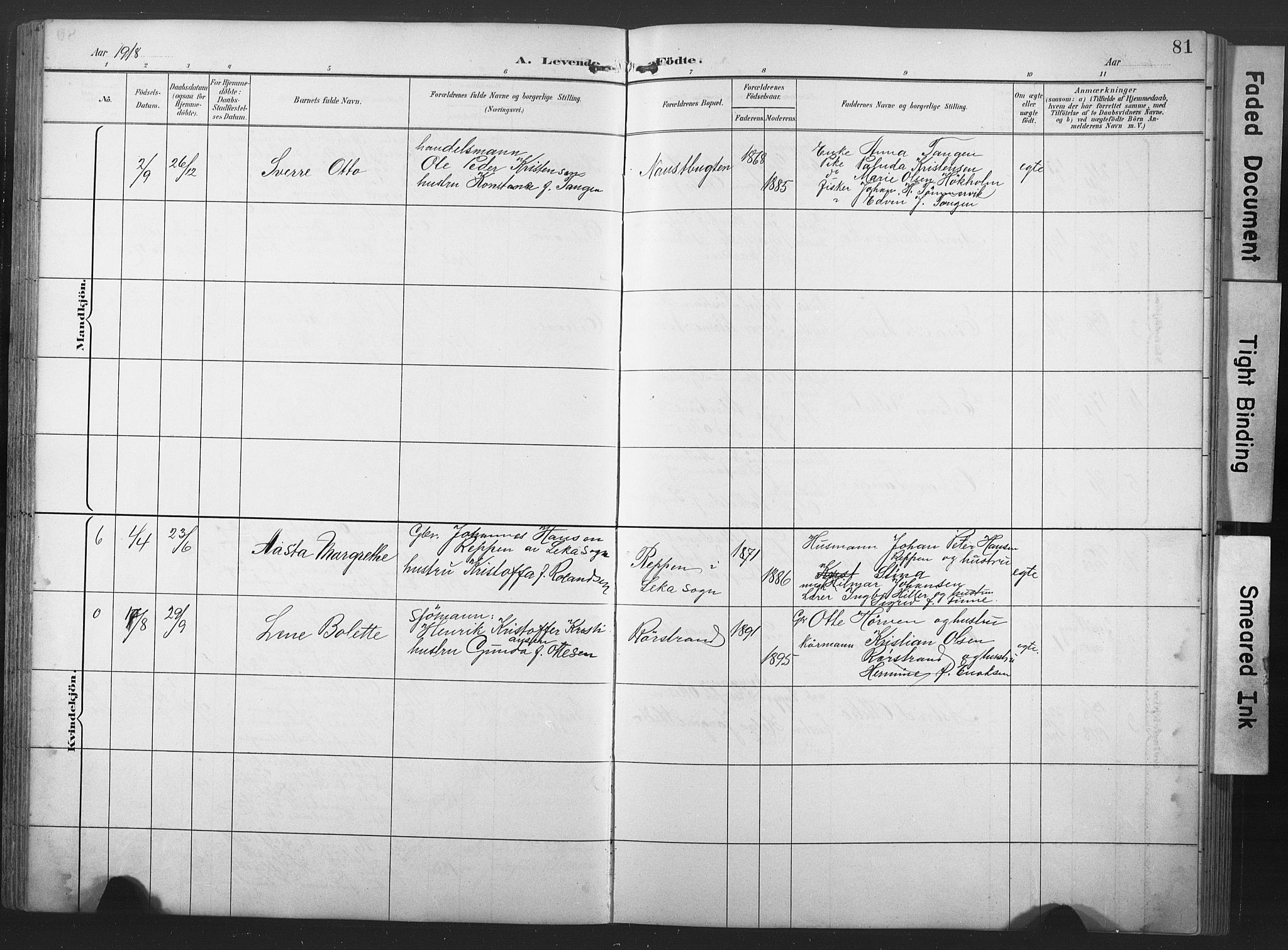 Ministerialprotokoller, klokkerbøker og fødselsregistre - Nord-Trøndelag, AV/SAT-A-1458/789/L0706: Parish register (copy) no. 789C01, 1888-1931, p. 81