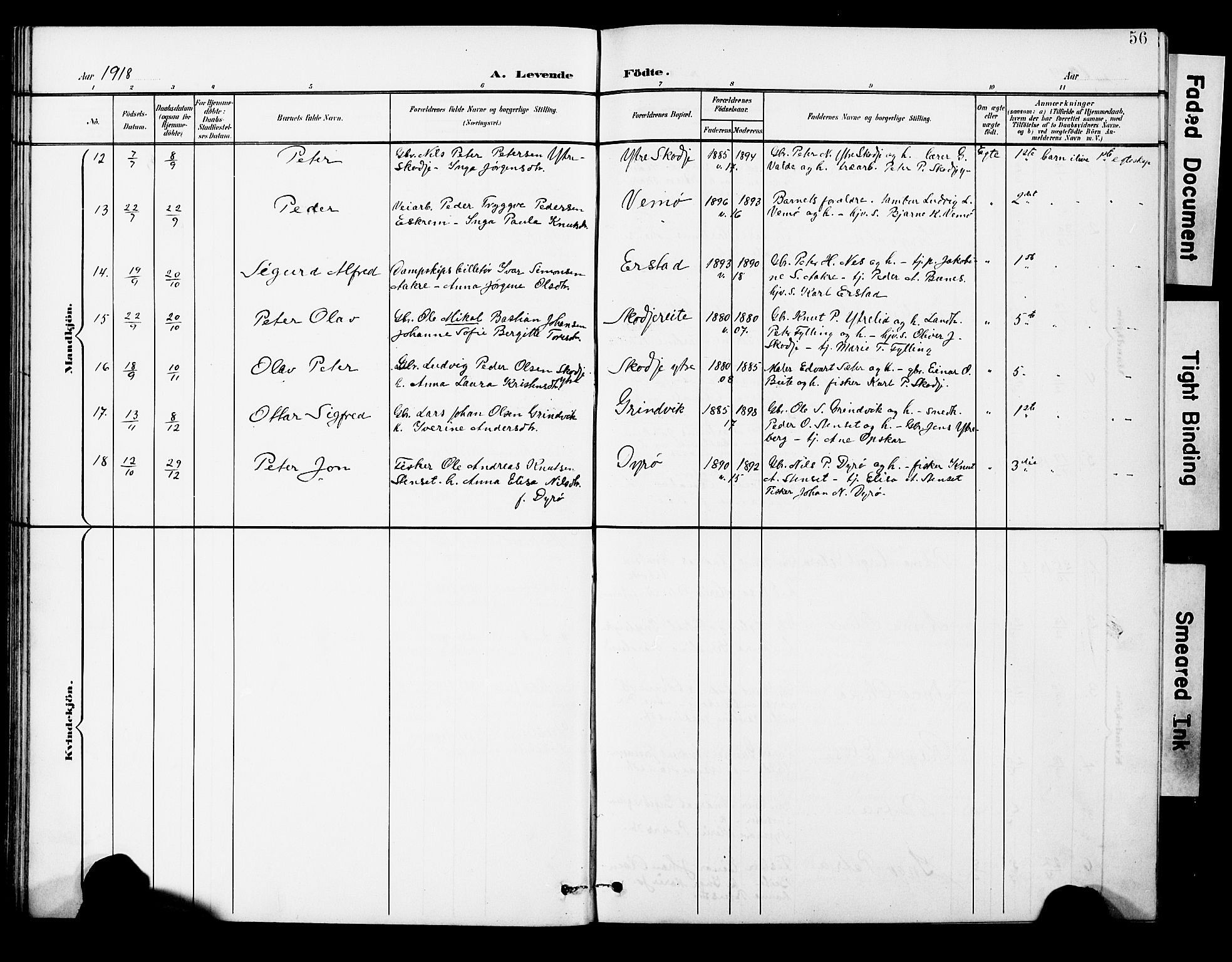 Ministerialprotokoller, klokkerbøker og fødselsregistre - Møre og Romsdal, AV/SAT-A-1454/524/L0366: Parish register (copy) no. 524C07, 1900-1931, p. 56