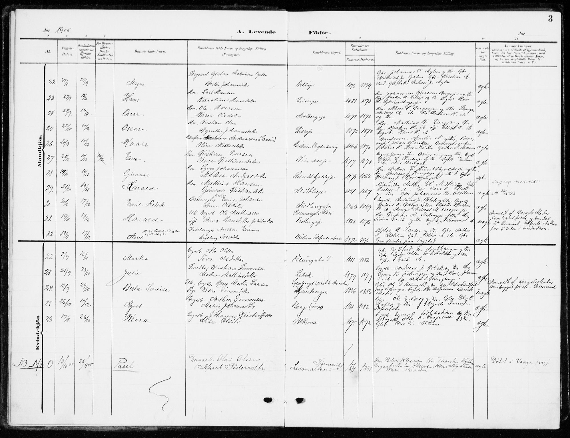 Ringsaker prestekontor, AV/SAH-PREST-014/K/Ka/L0021: Parish register (official) no. 21, 1905-1920, p. 3