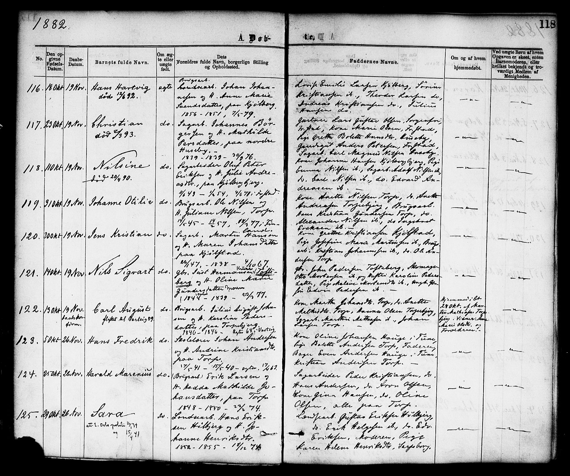 Borge prestekontor Kirkebøker, AV/SAO-A-10903/F/Fa/L0007: Parish register (official) no. I 7, 1875-1886, p. 118