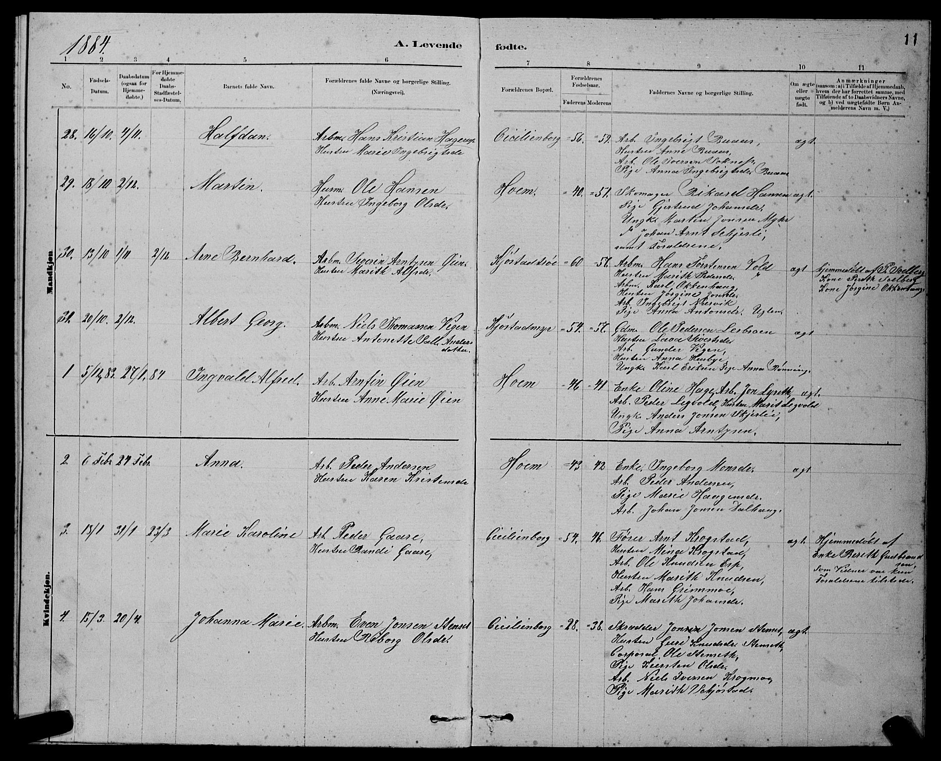 Ministerialprotokoller, klokkerbøker og fødselsregistre - Sør-Trøndelag, SAT/A-1456/611/L0354: Parish register (copy) no. 611C02, 1881-1896, p. 11