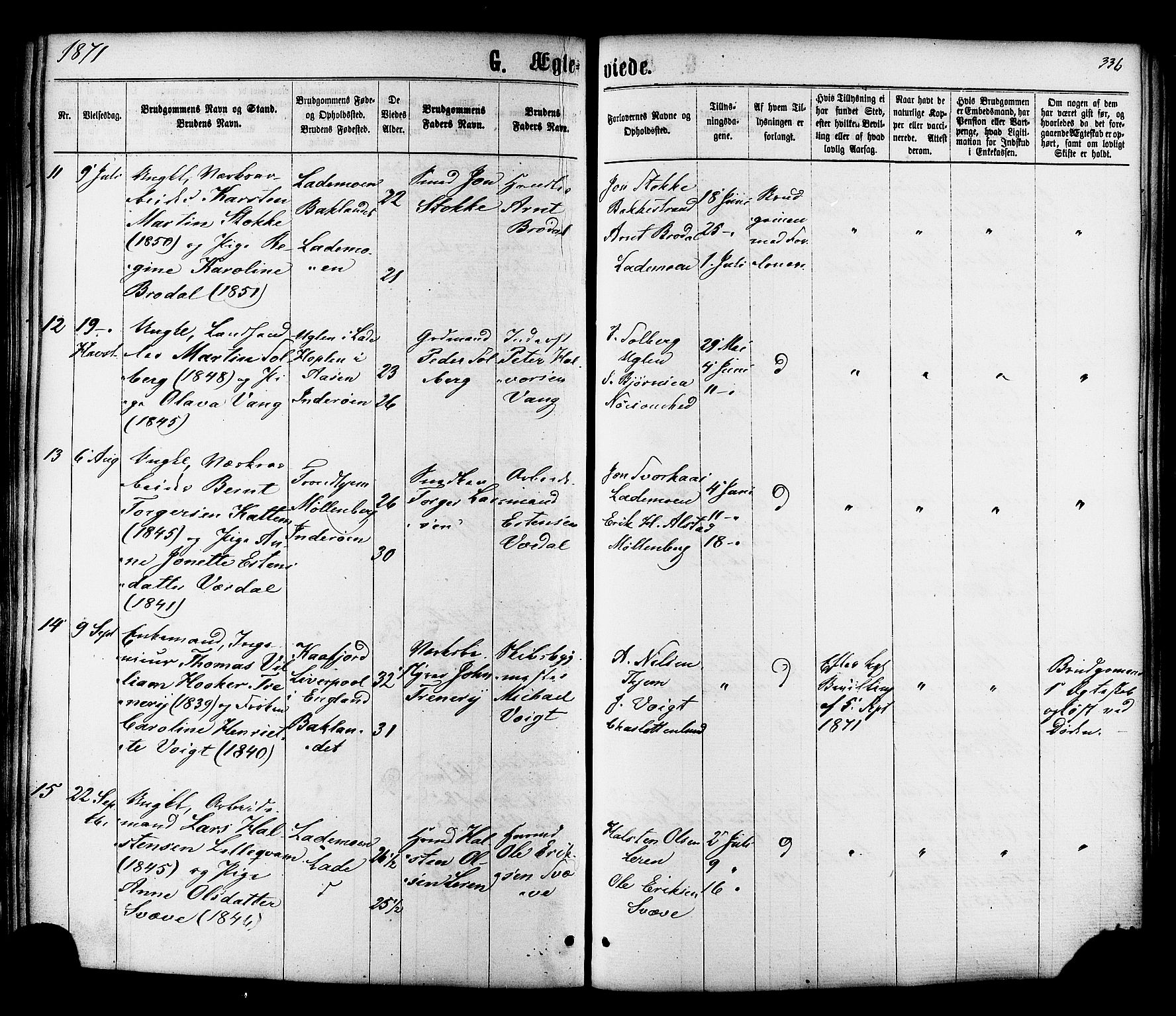 Ministerialprotokoller, klokkerbøker og fødselsregistre - Sør-Trøndelag, SAT/A-1456/606/L0293: Parish register (official) no. 606A08, 1866-1877, p. 336
