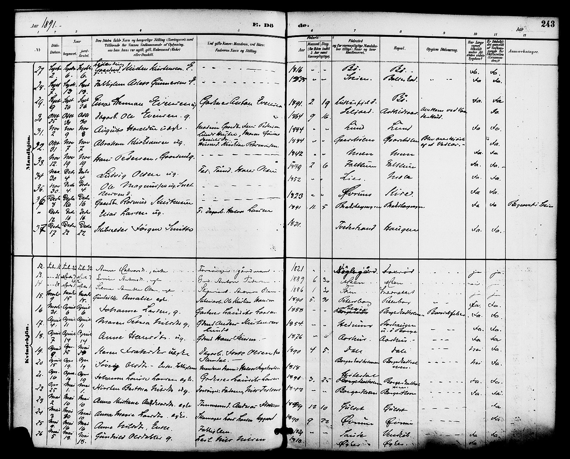 Gjerpen kirkebøker, AV/SAKO-A-265/F/Fa/L0010: Parish register (official) no. I 10, 1886-1895, p. 243