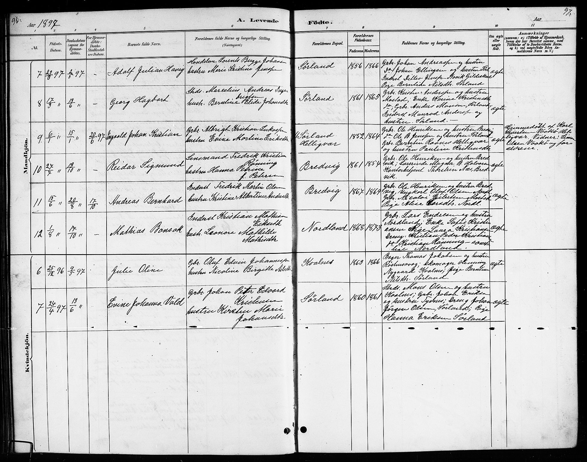 Ministerialprotokoller, klokkerbøker og fødselsregistre - Nordland, AV/SAT-A-1459/807/L0123: Parish register (copy) no. 807C01, 1884-1910, p. 96-97