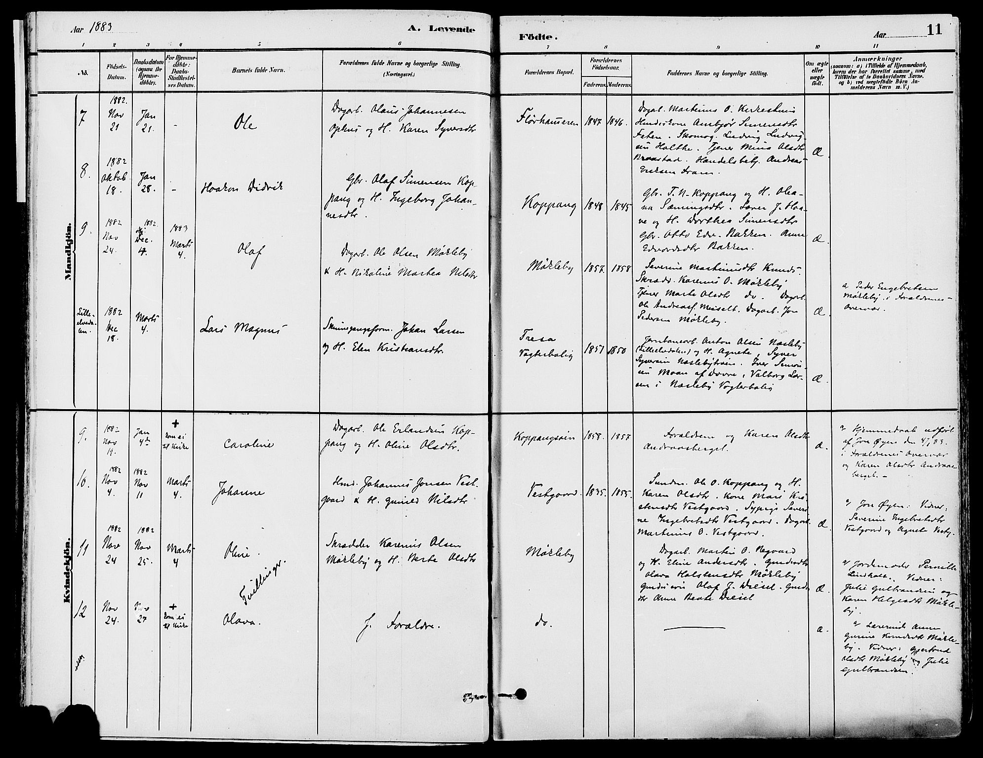 Stor-Elvdal prestekontor, AV/SAH-PREST-052/H/Ha/Haa/L0002: Parish register (official) no. 2, 1882-1907, p. 11