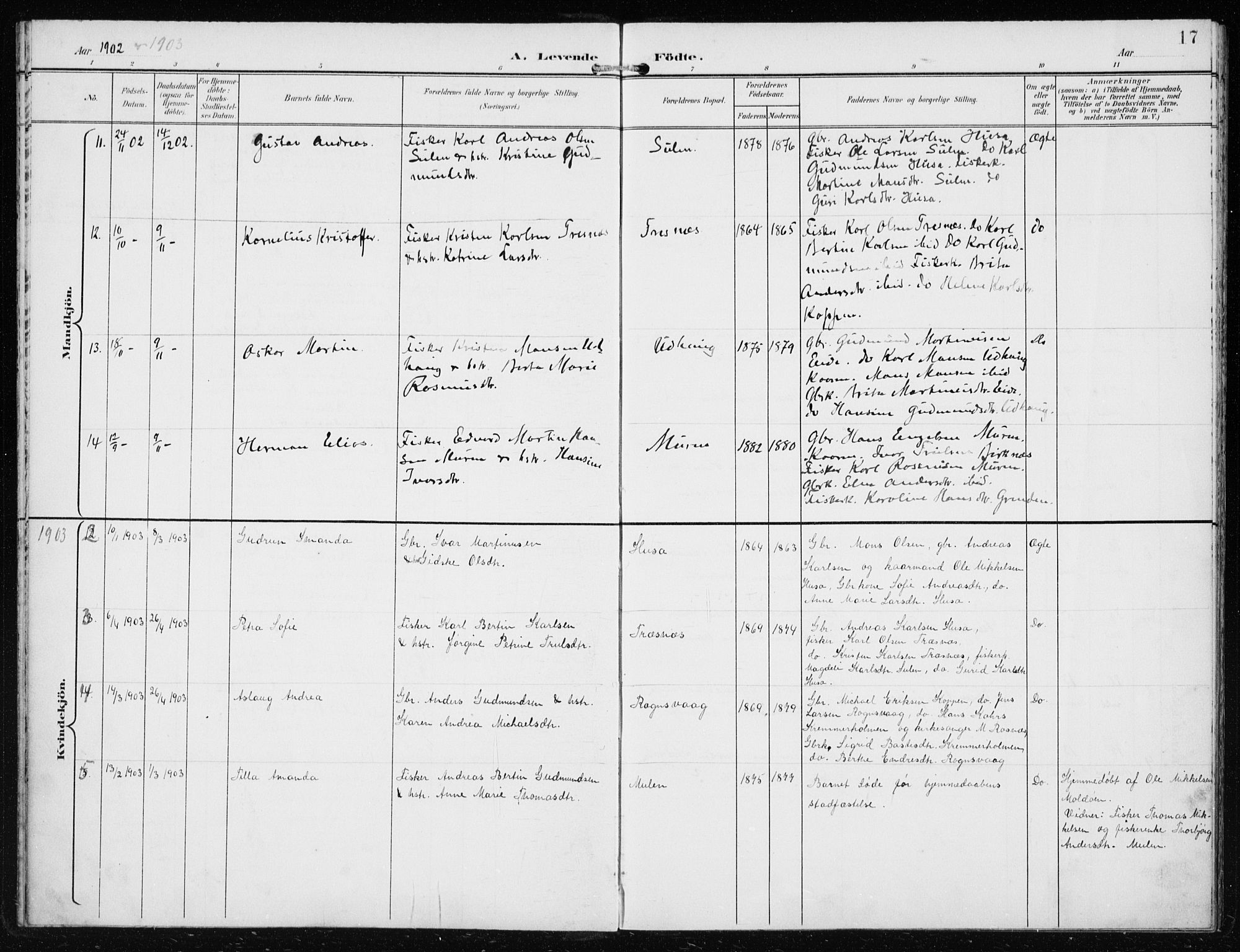 Lindås Sokneprestembete, AV/SAB-A-76701/H/Haa/Haad/L0002: Parish register (official) no. D  2, 1897-1912, p. 17