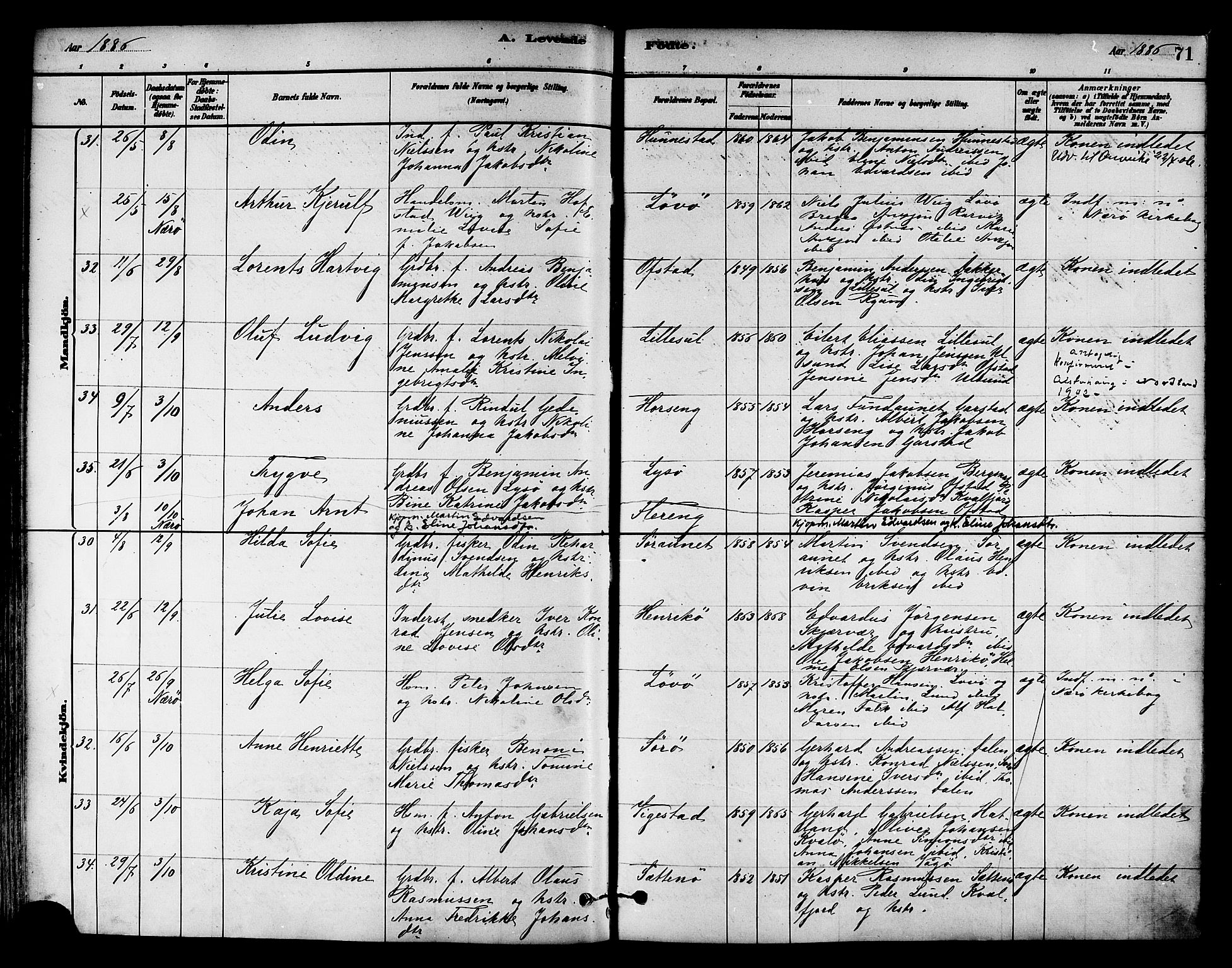 Ministerialprotokoller, klokkerbøker og fødselsregistre - Nord-Trøndelag, AV/SAT-A-1458/786/L0686: Parish register (official) no. 786A02, 1880-1887, p. 71