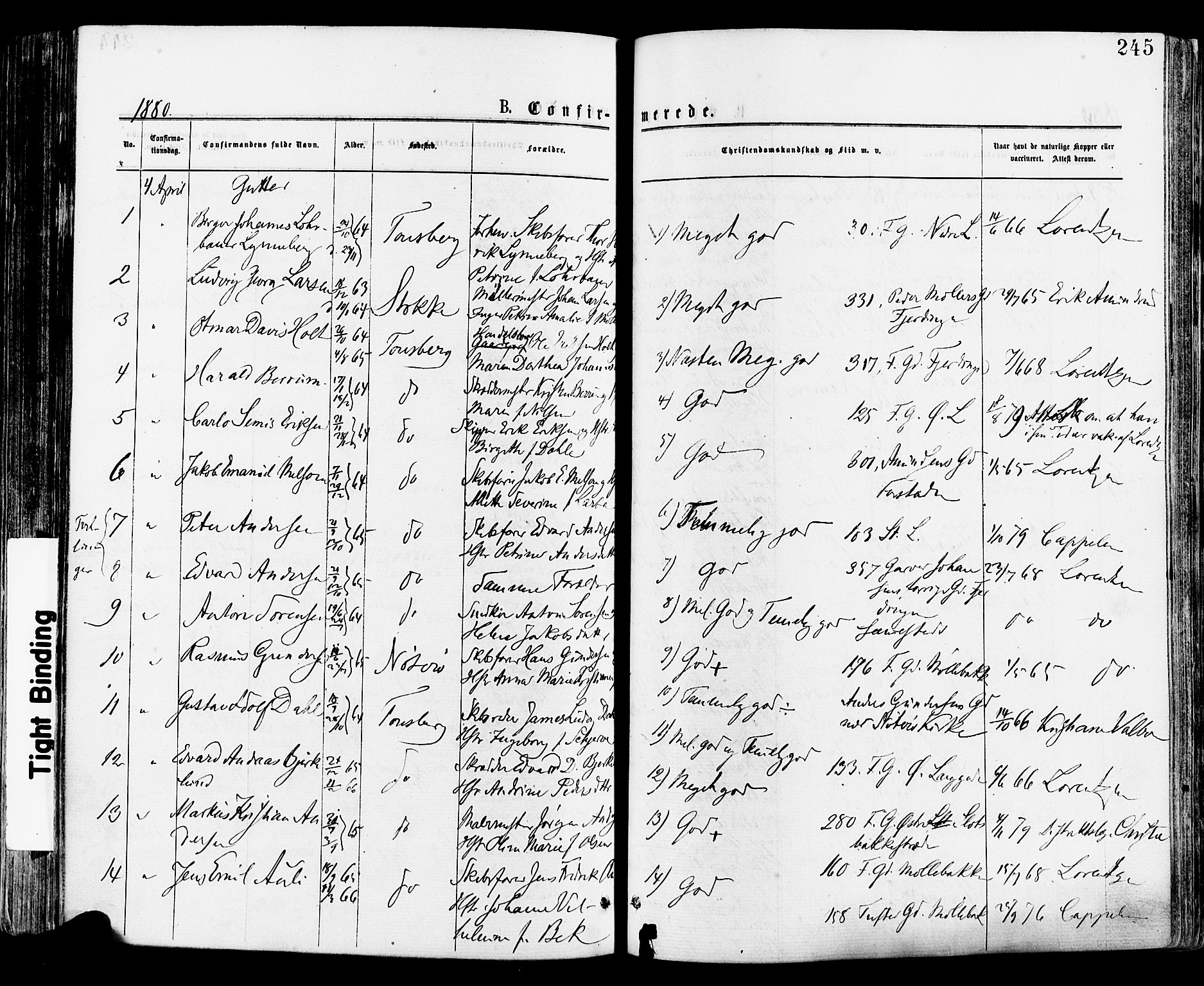 Tønsberg kirkebøker, SAKO/A-330/F/Fa/L0010: Parish register (official) no. I 10, 1874-1880, p. 245