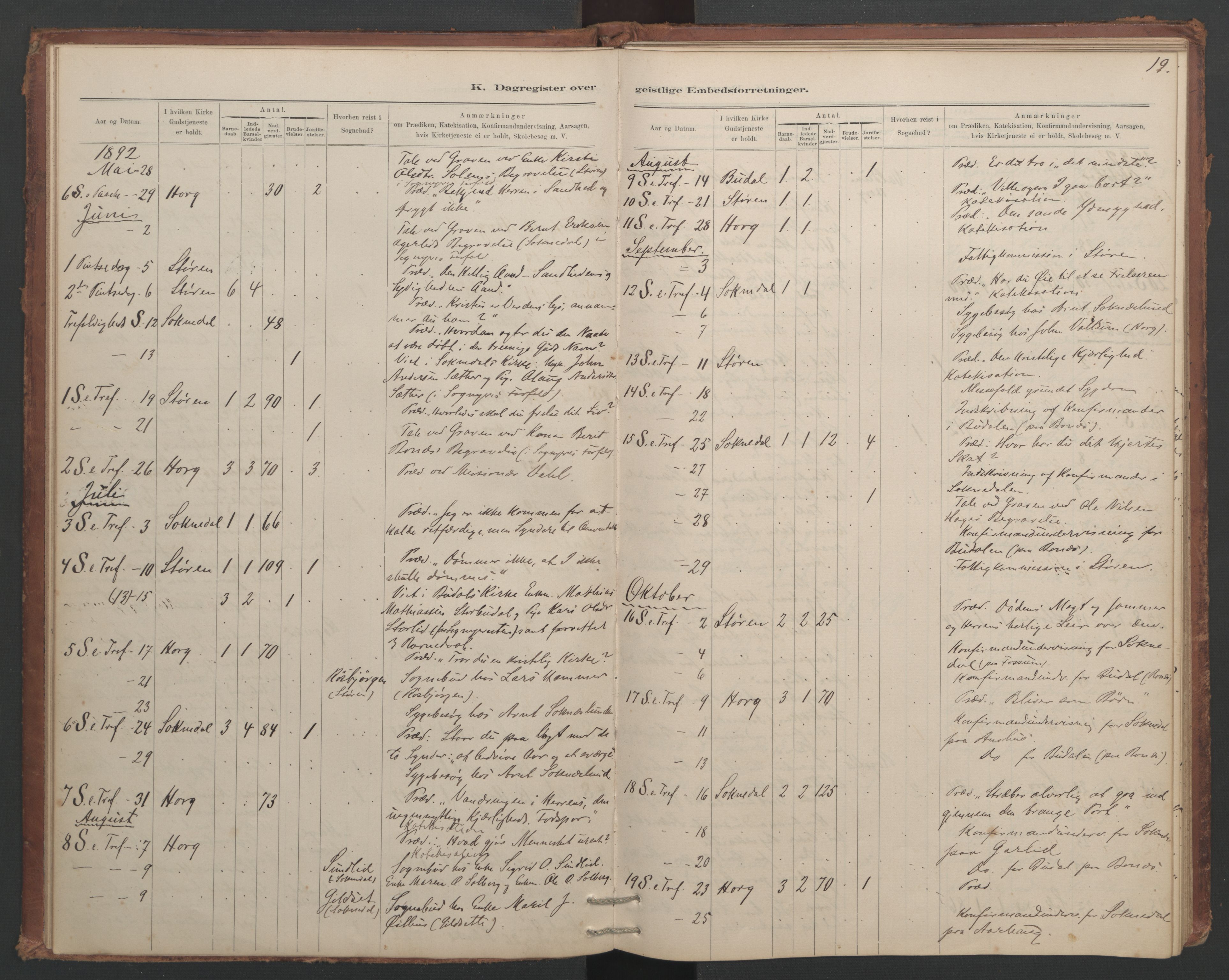 Ministerialprotokoller, klokkerbøker og fødselsregistre - Sør-Trøndelag, SAT/A-1456/687/L1012: Diary records no. 687B01, 1887-1914, p. 19