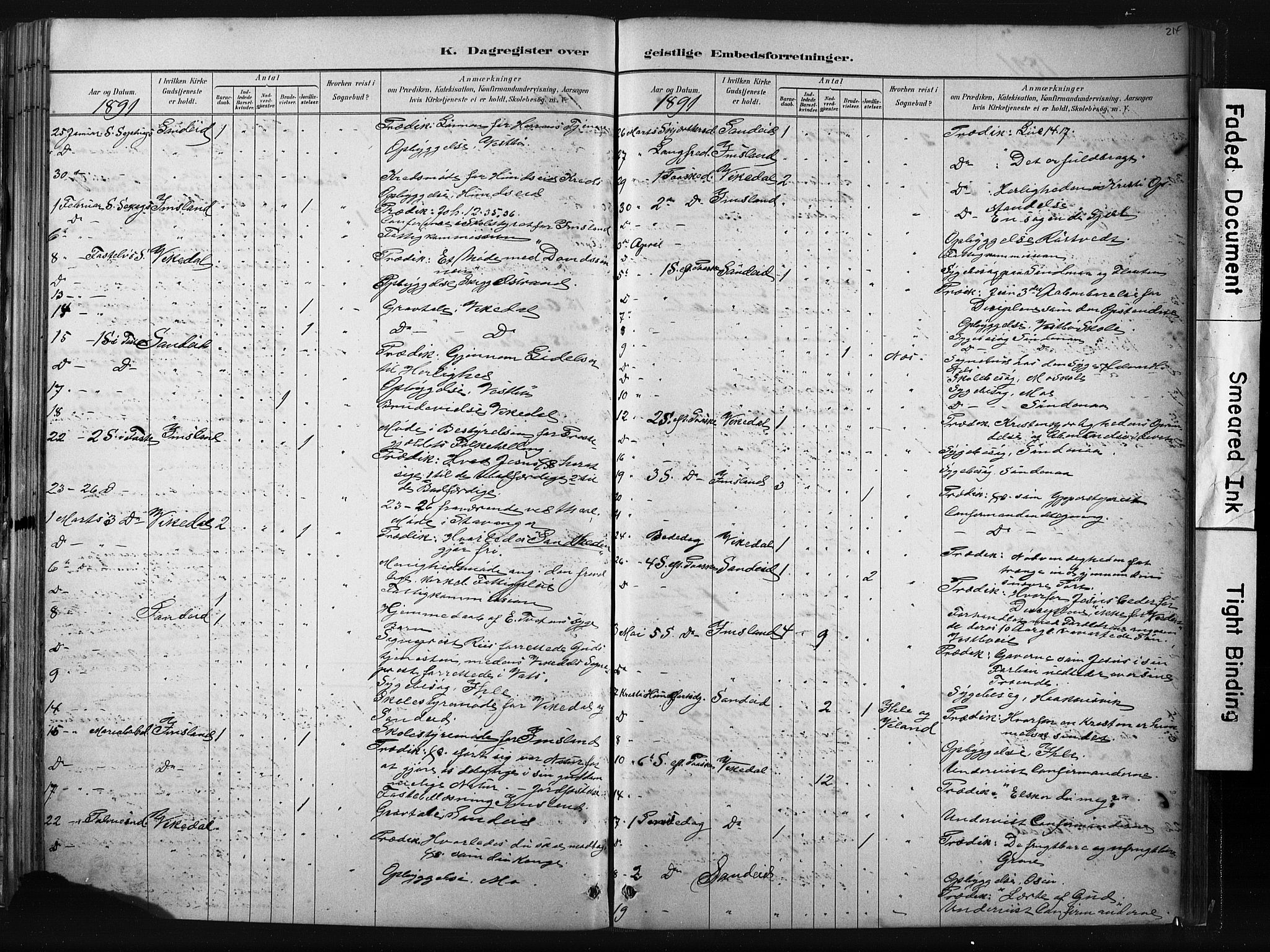 Vikedal sokneprestkontor, AV/SAST-A-101840/01/IV: Parish register (official) no. A 10, 1884-1907, p. 214