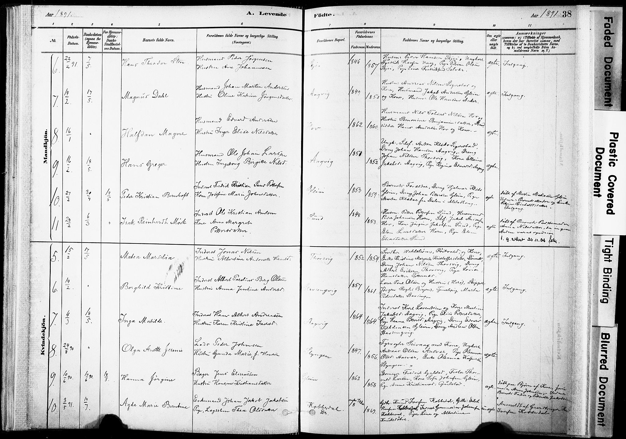 Ministerialprotokoller, klokkerbøker og fødselsregistre - Nordland, SAT/A-1459/835/L0525: Parish register (official) no. 835A03I, 1881-1910, p. 38