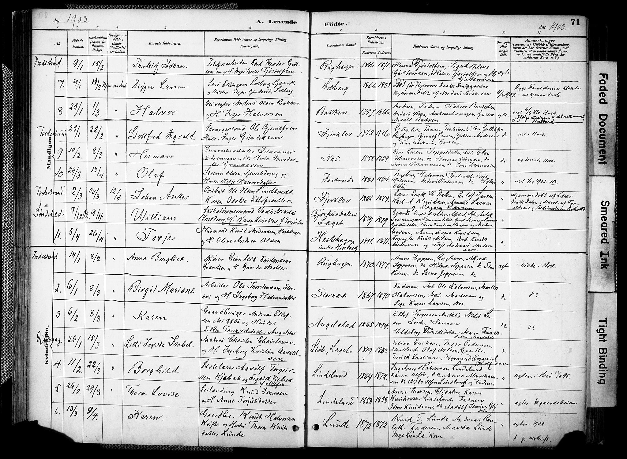 Holt sokneprestkontor, AV/SAK-1111-0021/F/Fa/L0012: Parish register (official) no. A 12, 1885-1907, p. 71