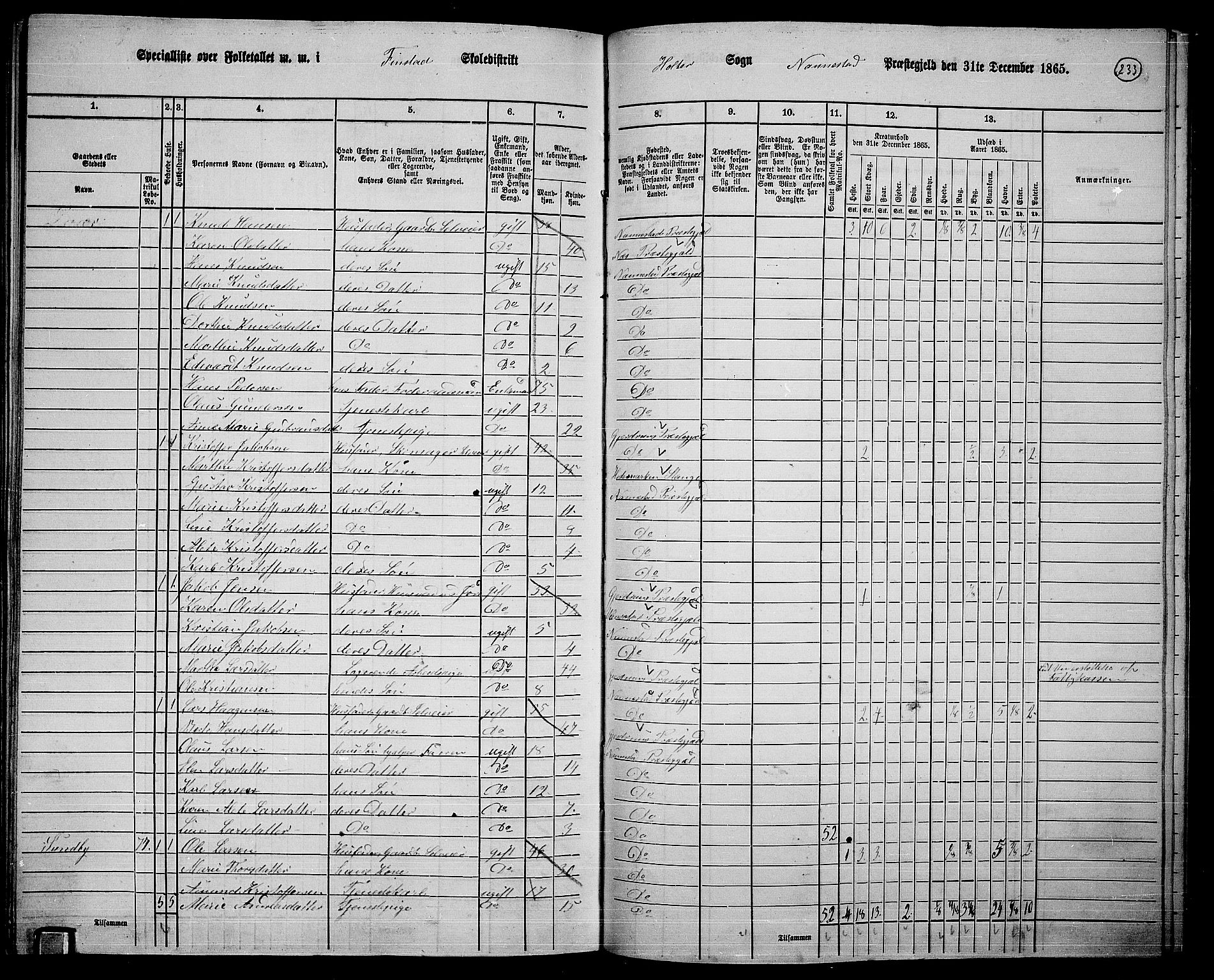 RA, 1865 census for Nannestad, 1865, p. 110