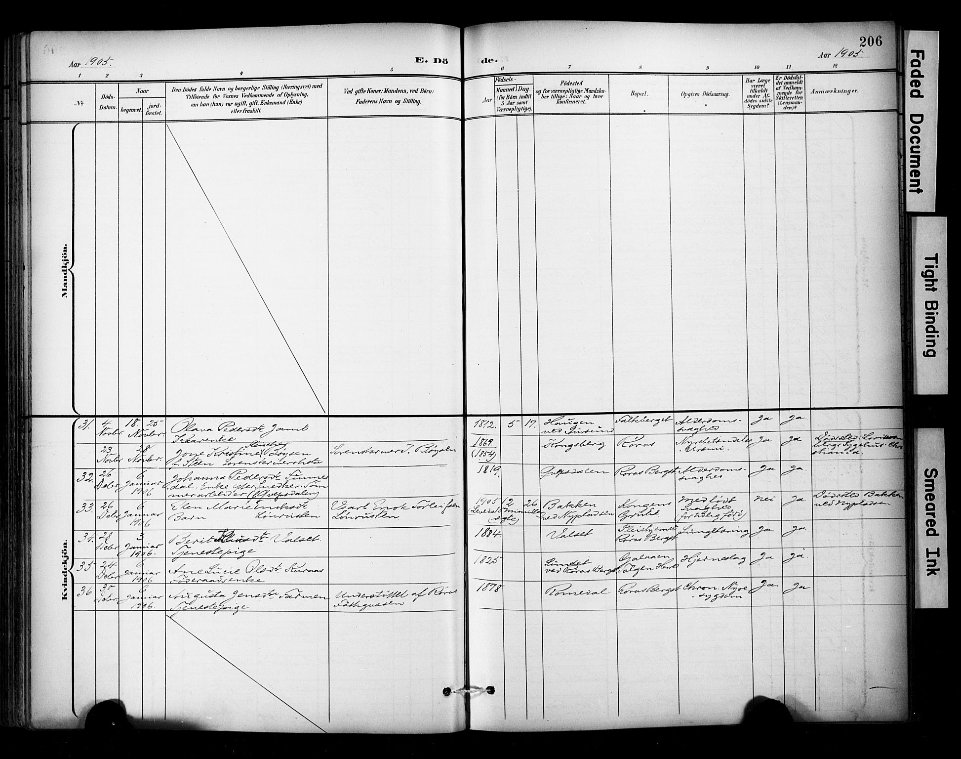 Ministerialprotokoller, klokkerbøker og fødselsregistre - Sør-Trøndelag, SAT/A-1456/681/L0936: Parish register (official) no. 681A14, 1899-1908, p. 206