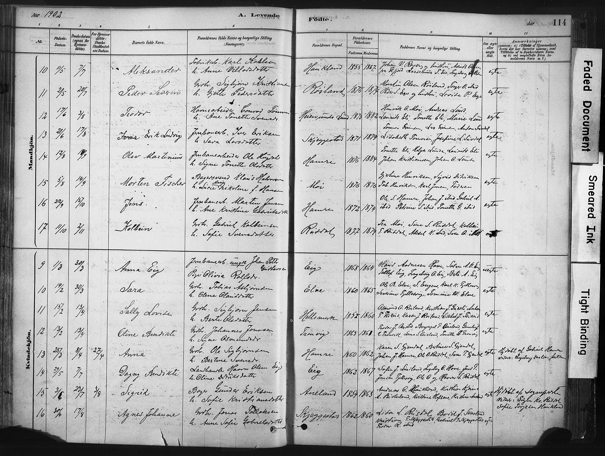 Lund sokneprestkontor, AV/SAST-A-101809/S06/L0011: Parish register (official) no. A 10, 1877-1904, p. 114